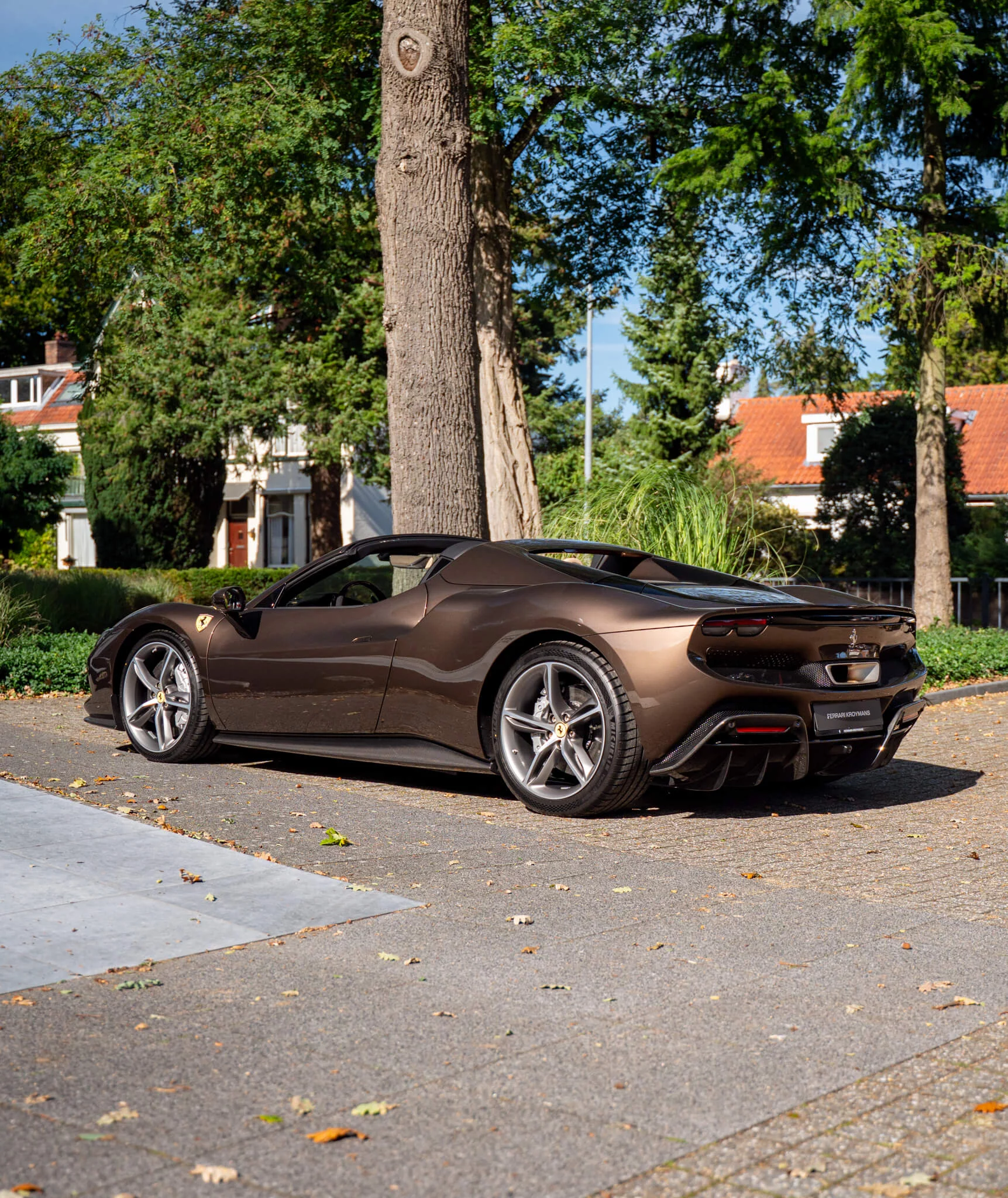 Marrone Luci Di Bosco Ferrari 296