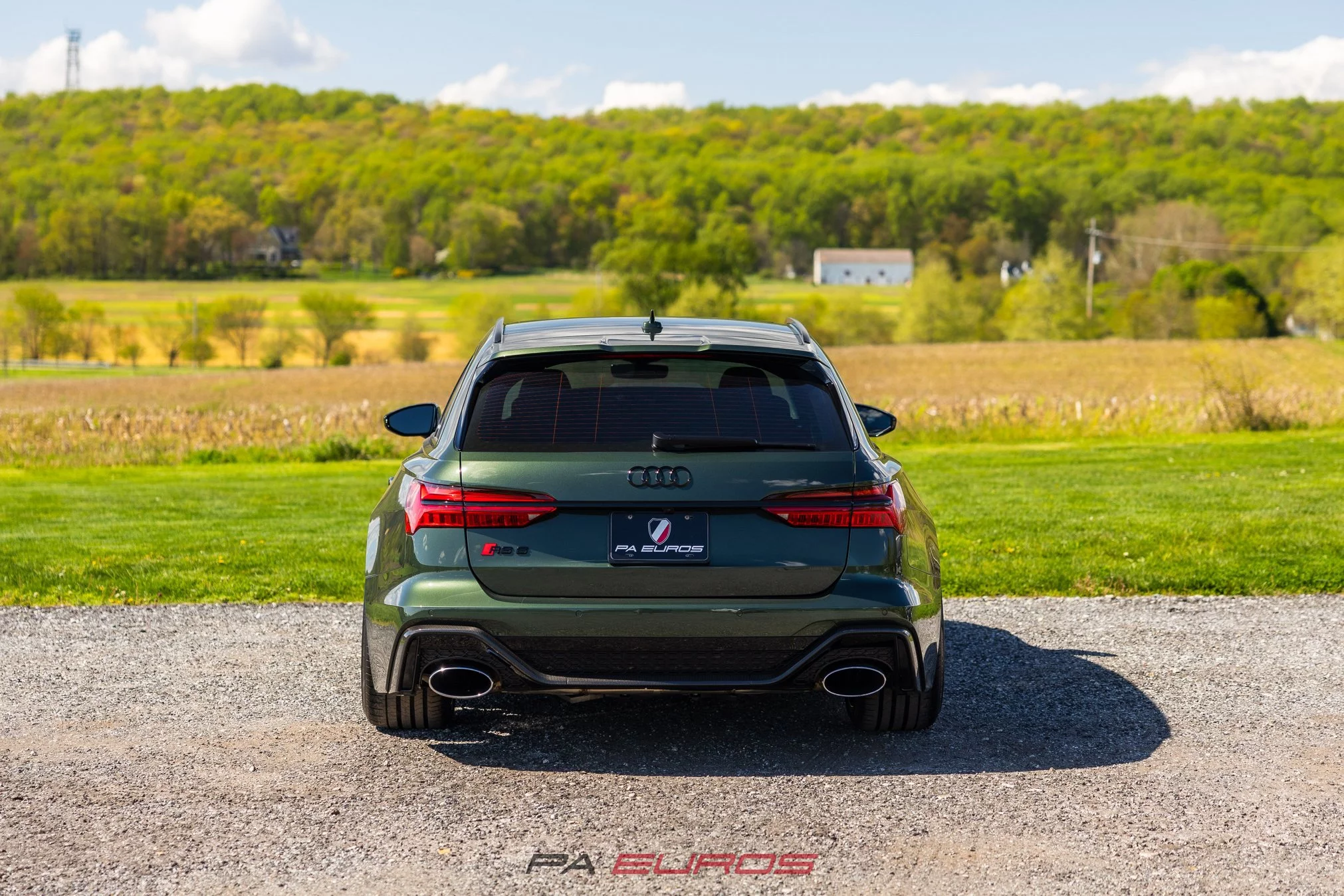Oak Green Metallic Audi RS6 Avant