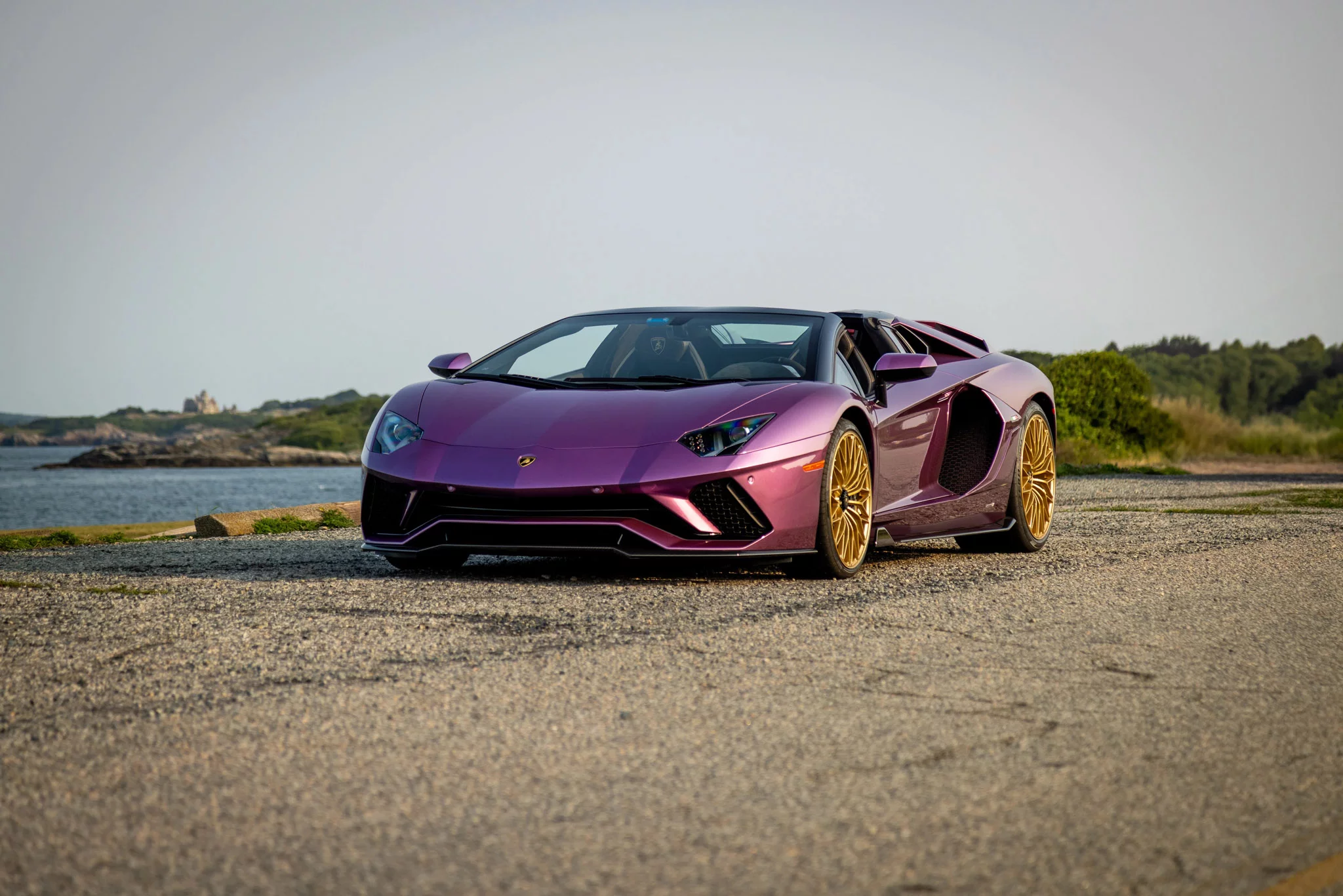 Viola SE30 Lamborghini Aventador