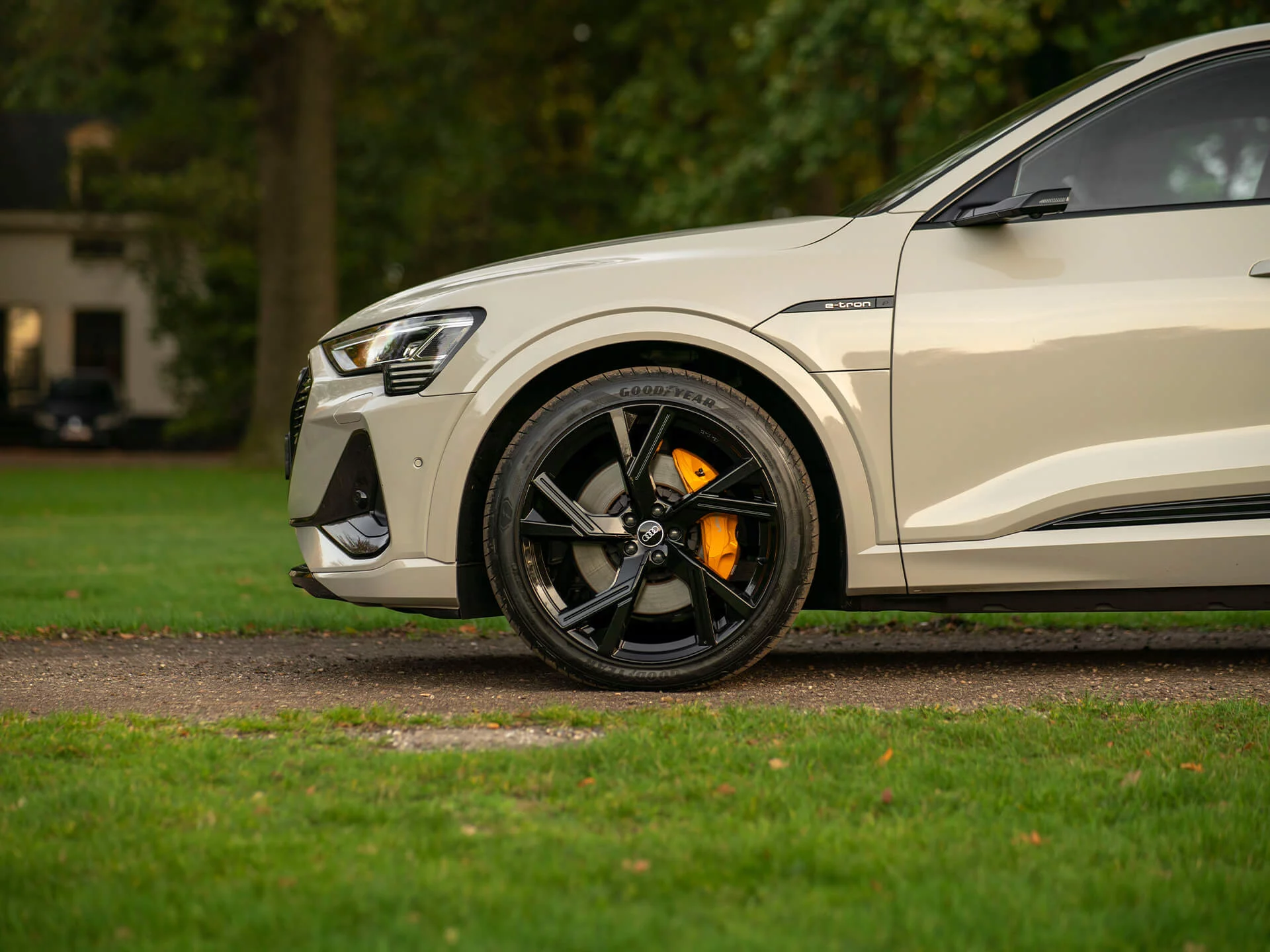 Siam Beige Audi e-tron