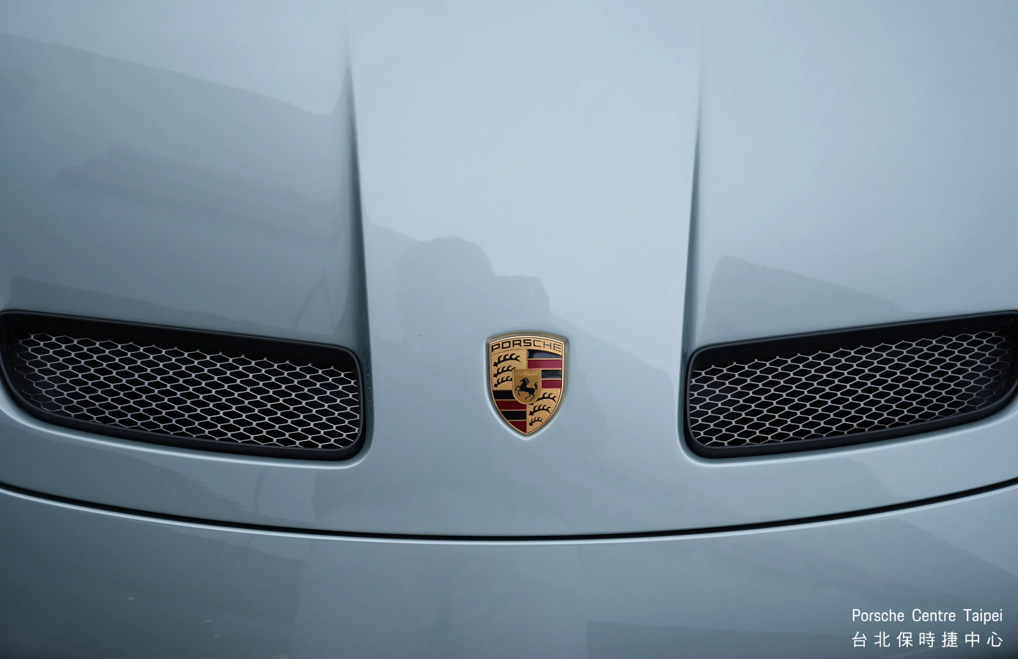 Fish Silver Grey Metallic Porsche 911 GT3