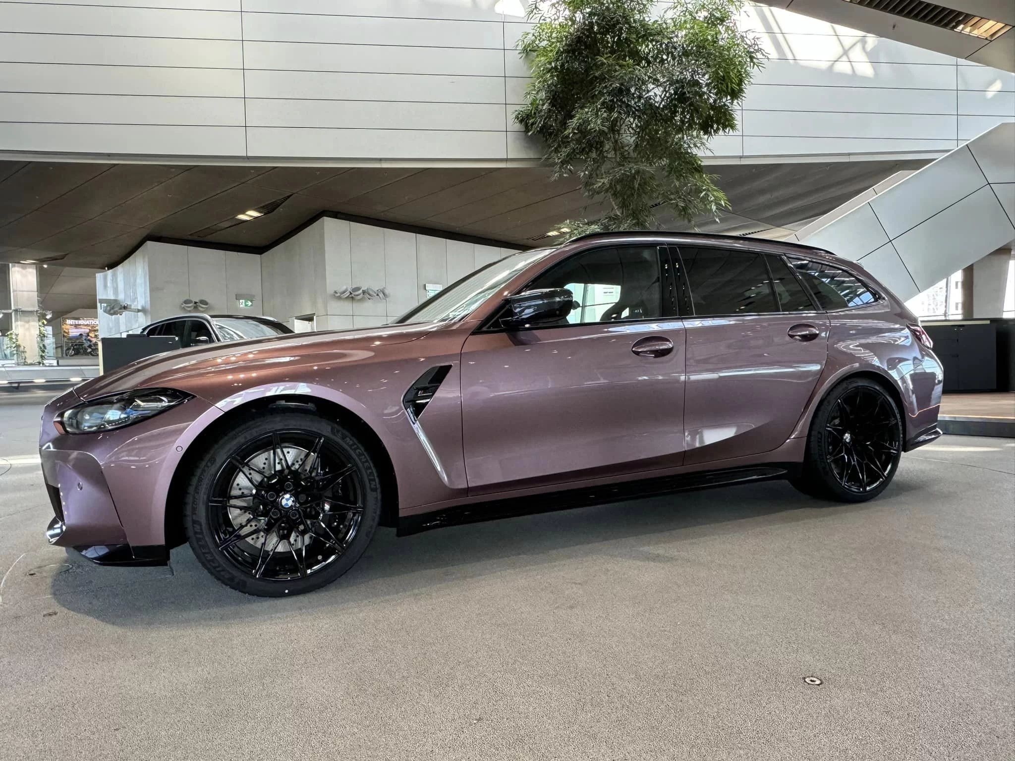 Velvet Orchid II BMW M3