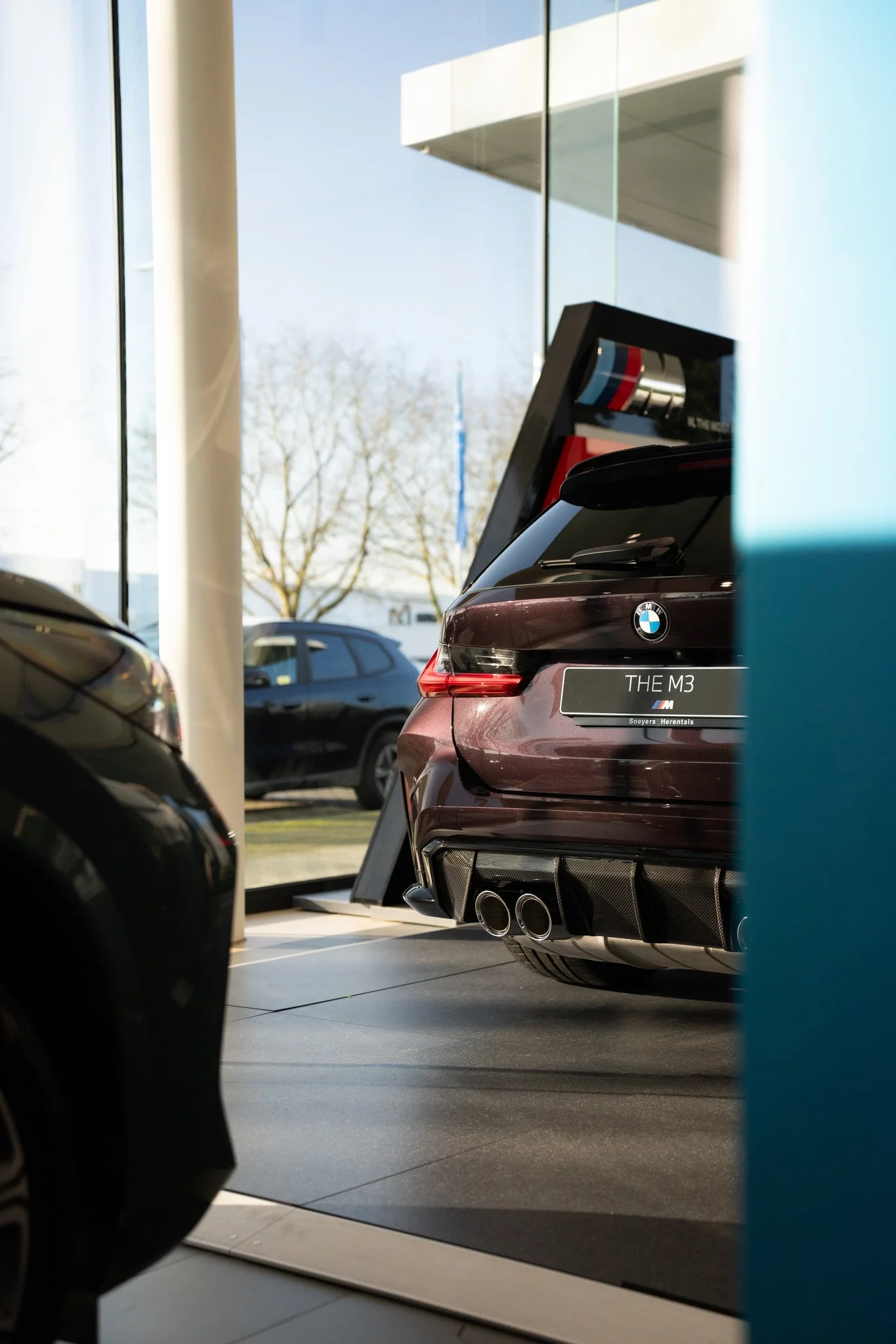 Belladonna Purple BMW M3