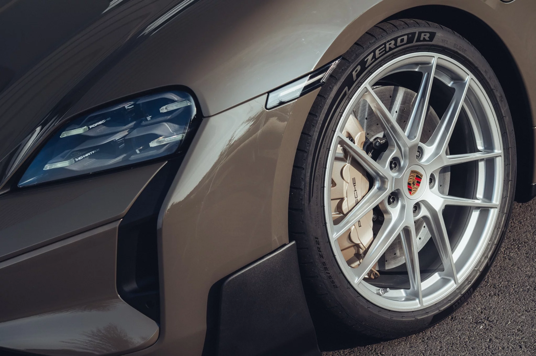 Alex Grey Porsche Taycan