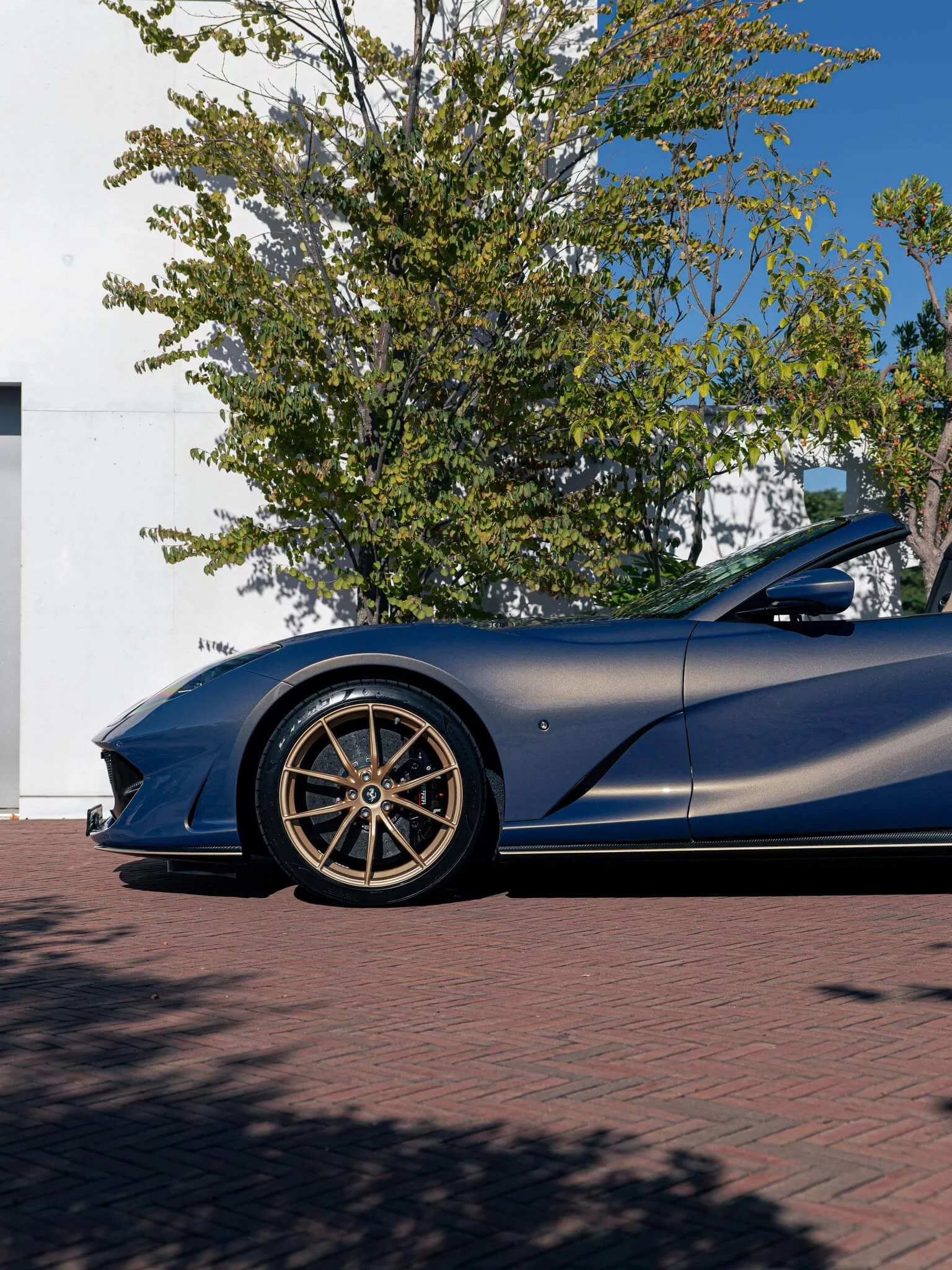 Blu Elder Ferrari 812