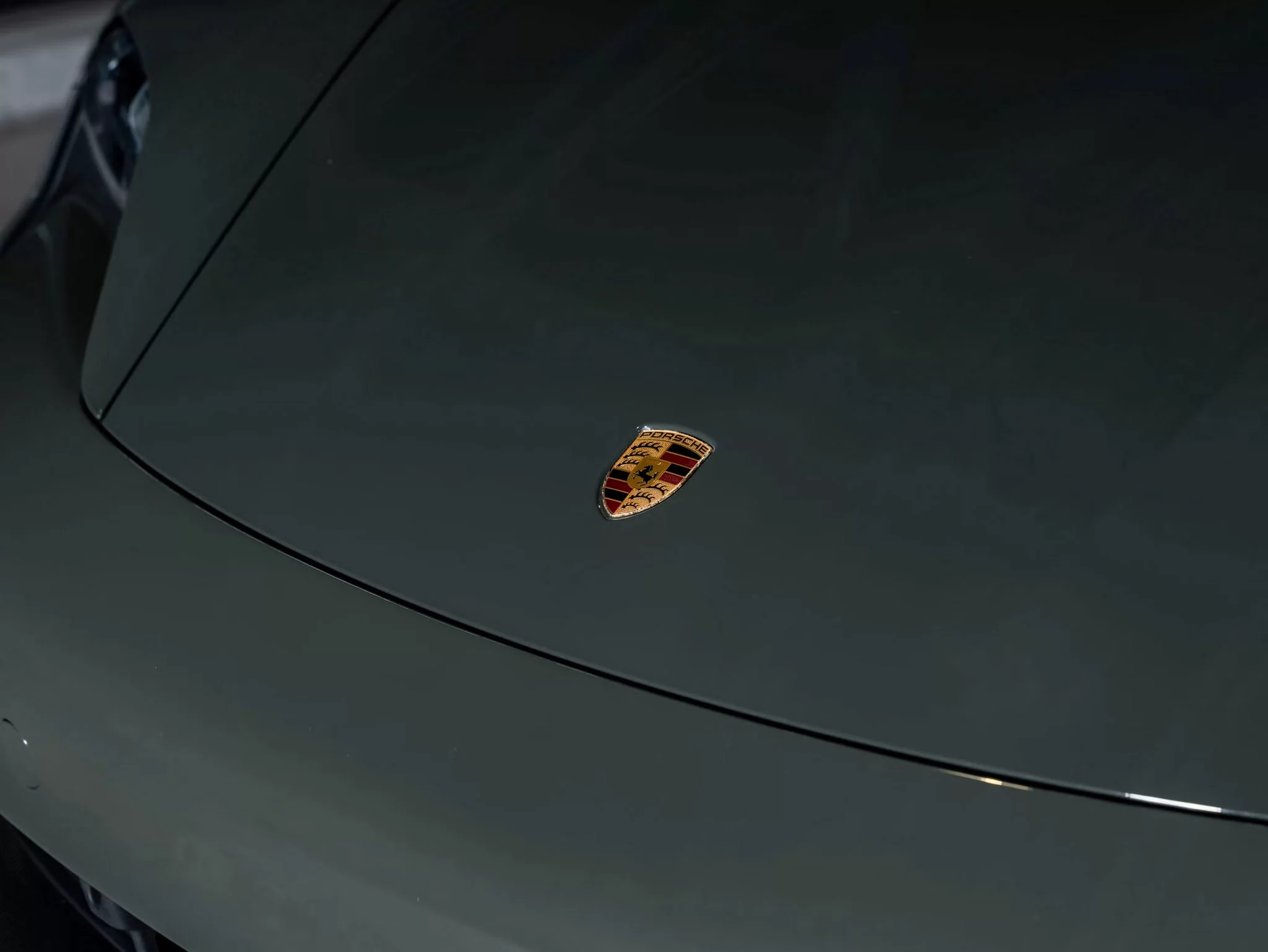 Black Olive Porsche Taycan
