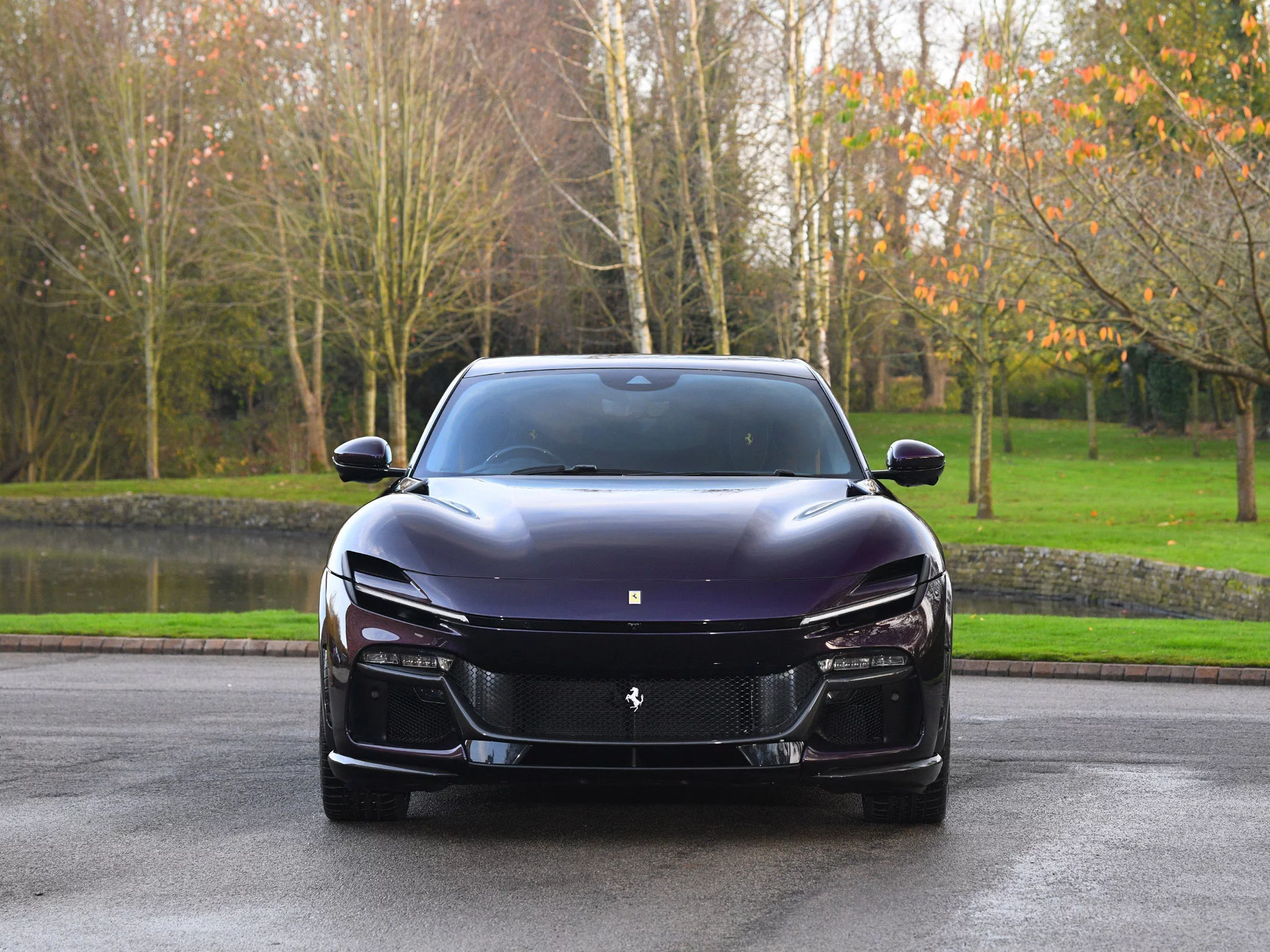 Viola Hong Kong Ferrari Purosangue
