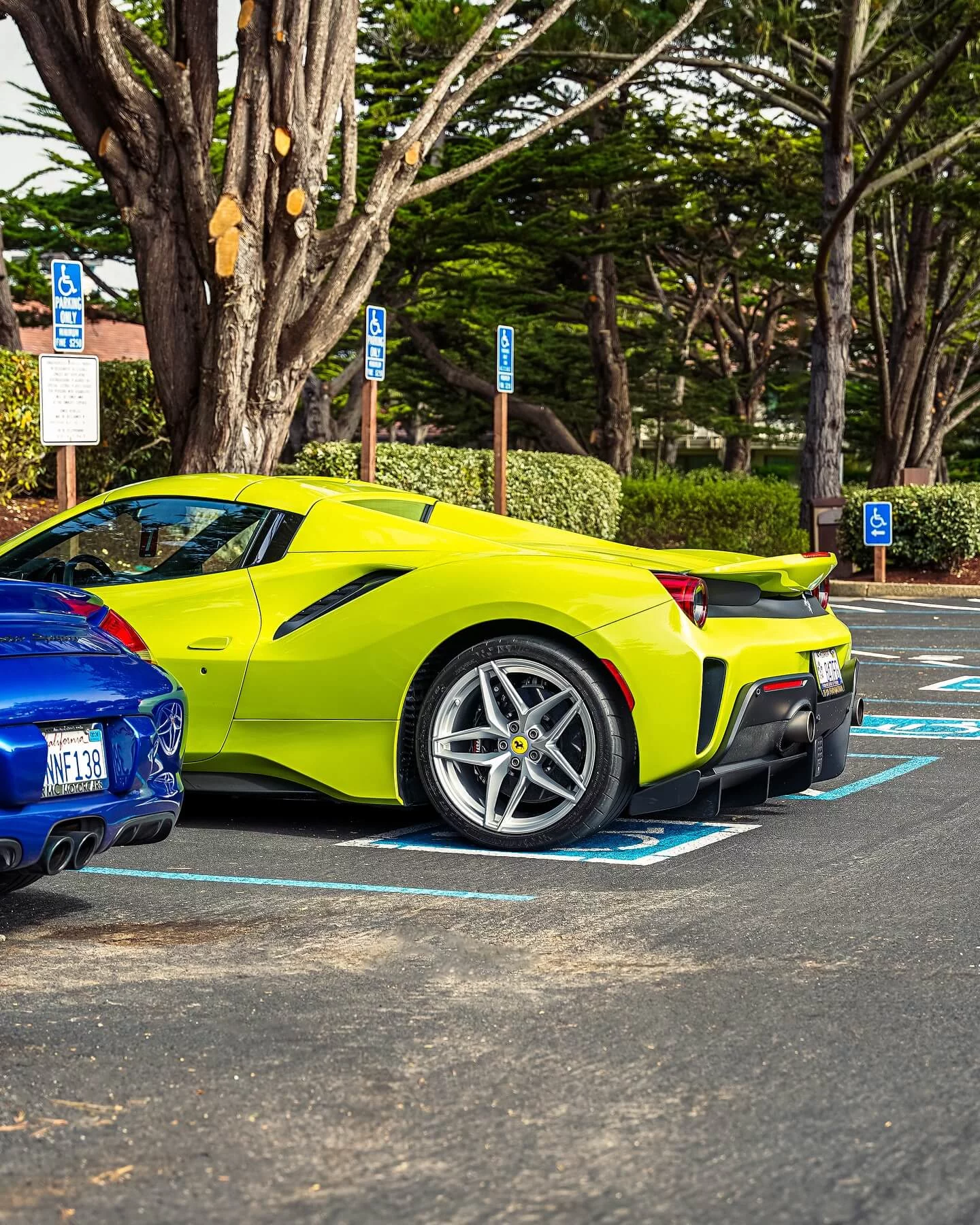 Verde Germoglio Ferrari 488