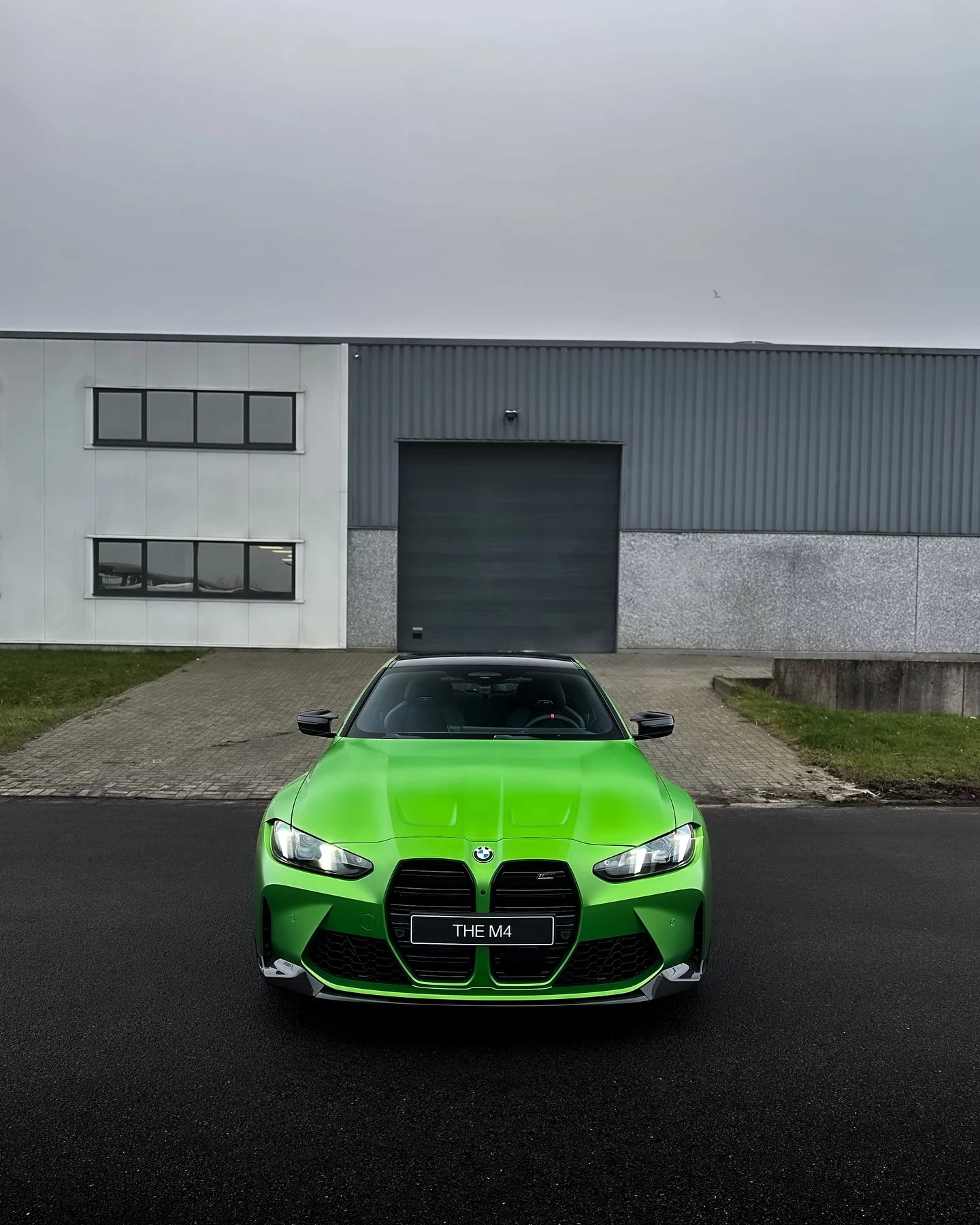 Frozen Tampa Bay Green BMW M4