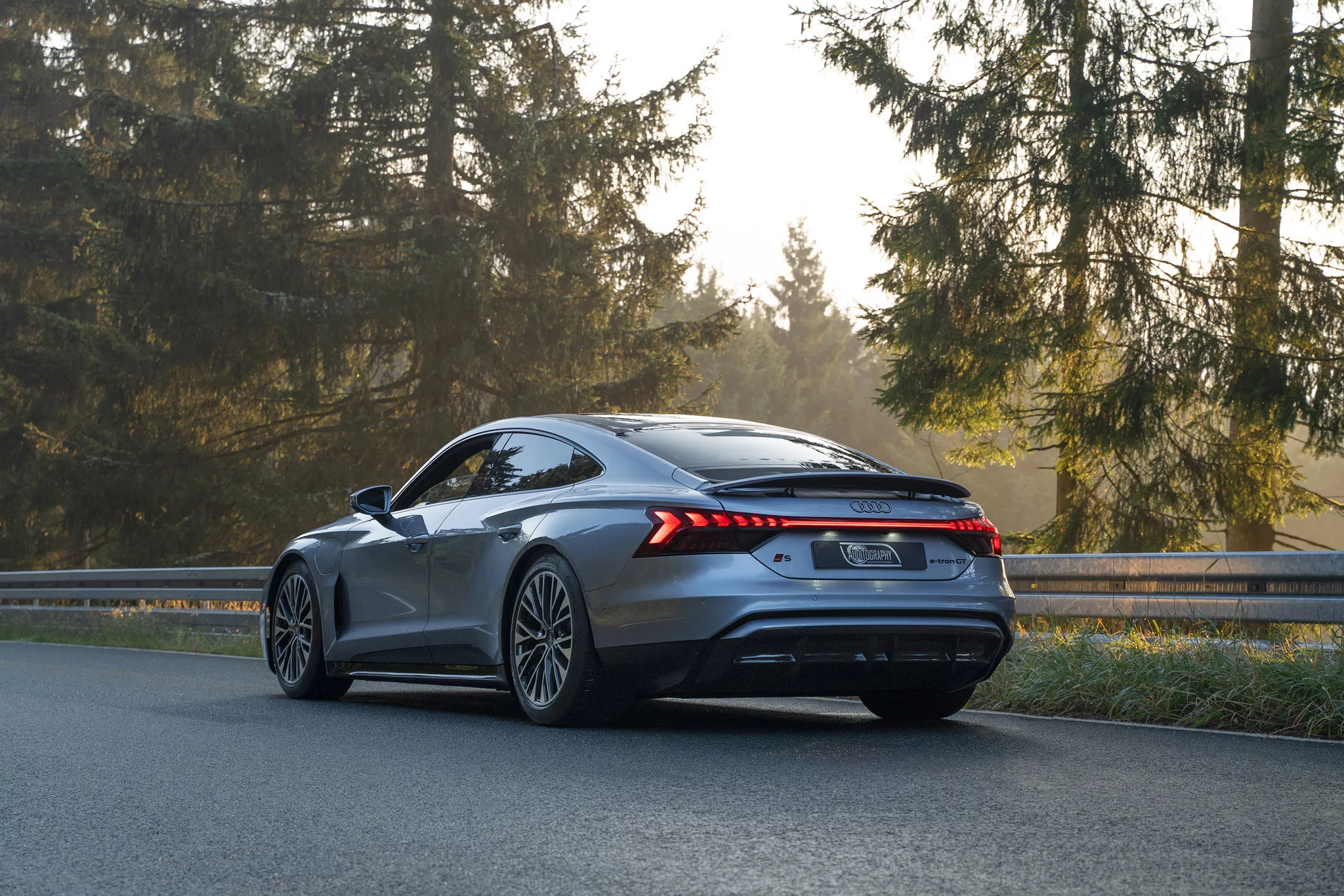 Florett Silver Audi e-tron GT