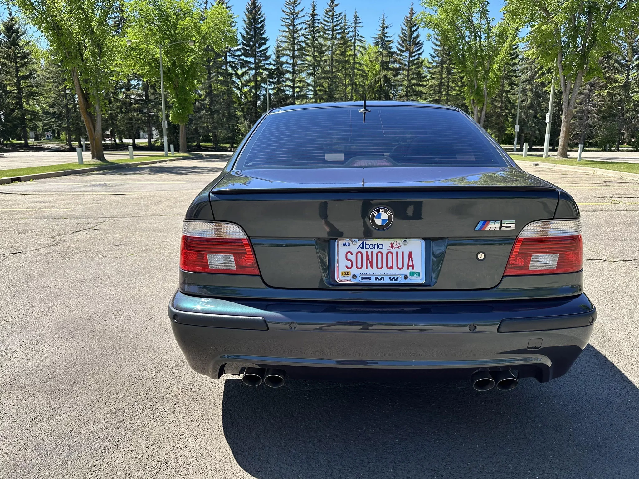 Scarab Green BMW M5