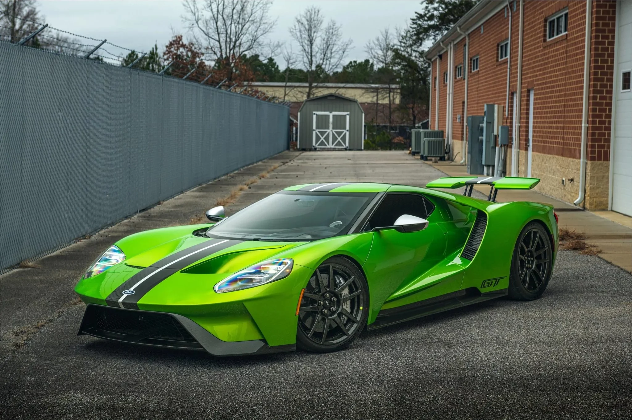 Snakeskin Green Ford GT