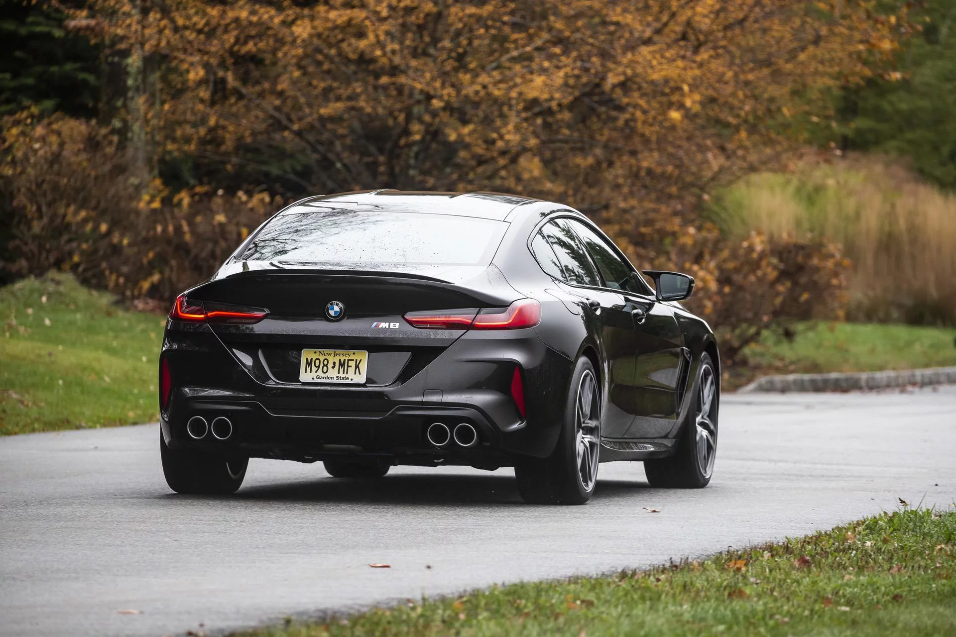 Almandine Brown II BMW M8