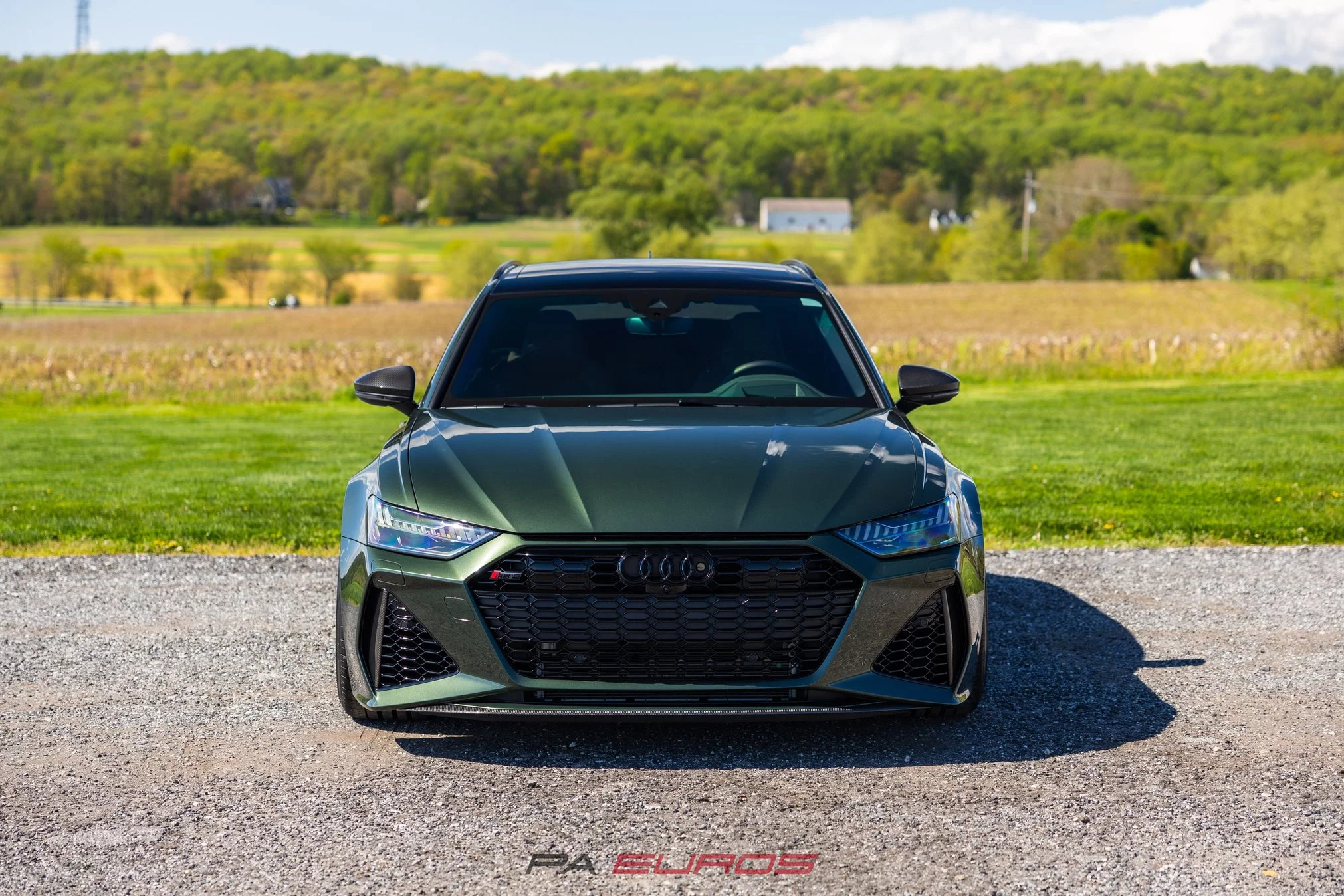 Oak Green Metallic Audi RS6 Avant