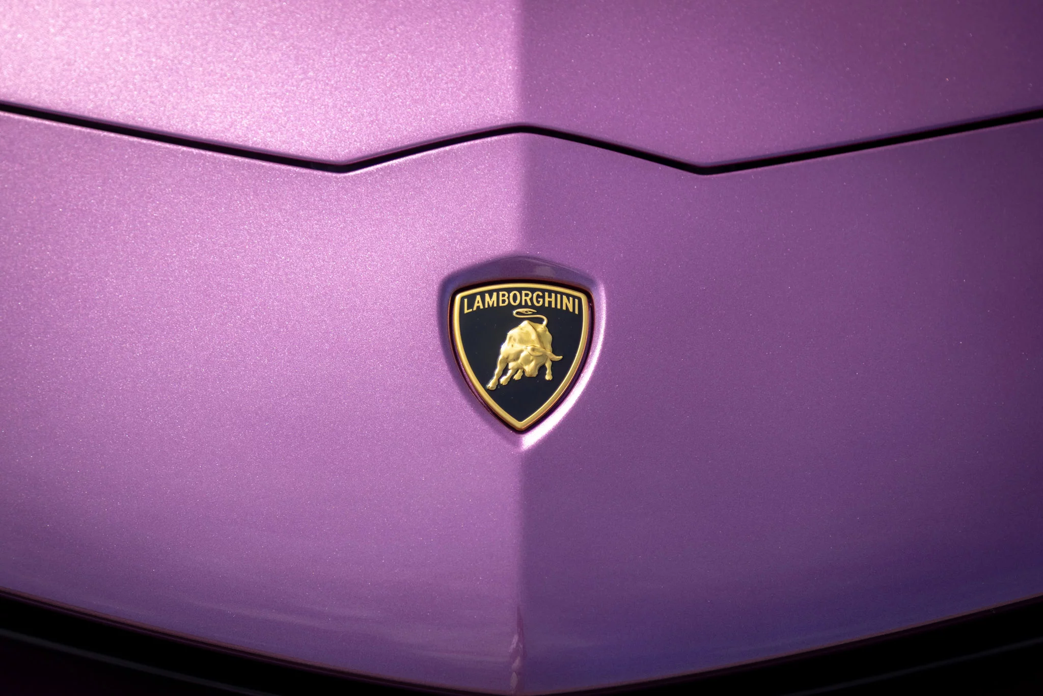 Viola SE30 Lamborghini Aventador