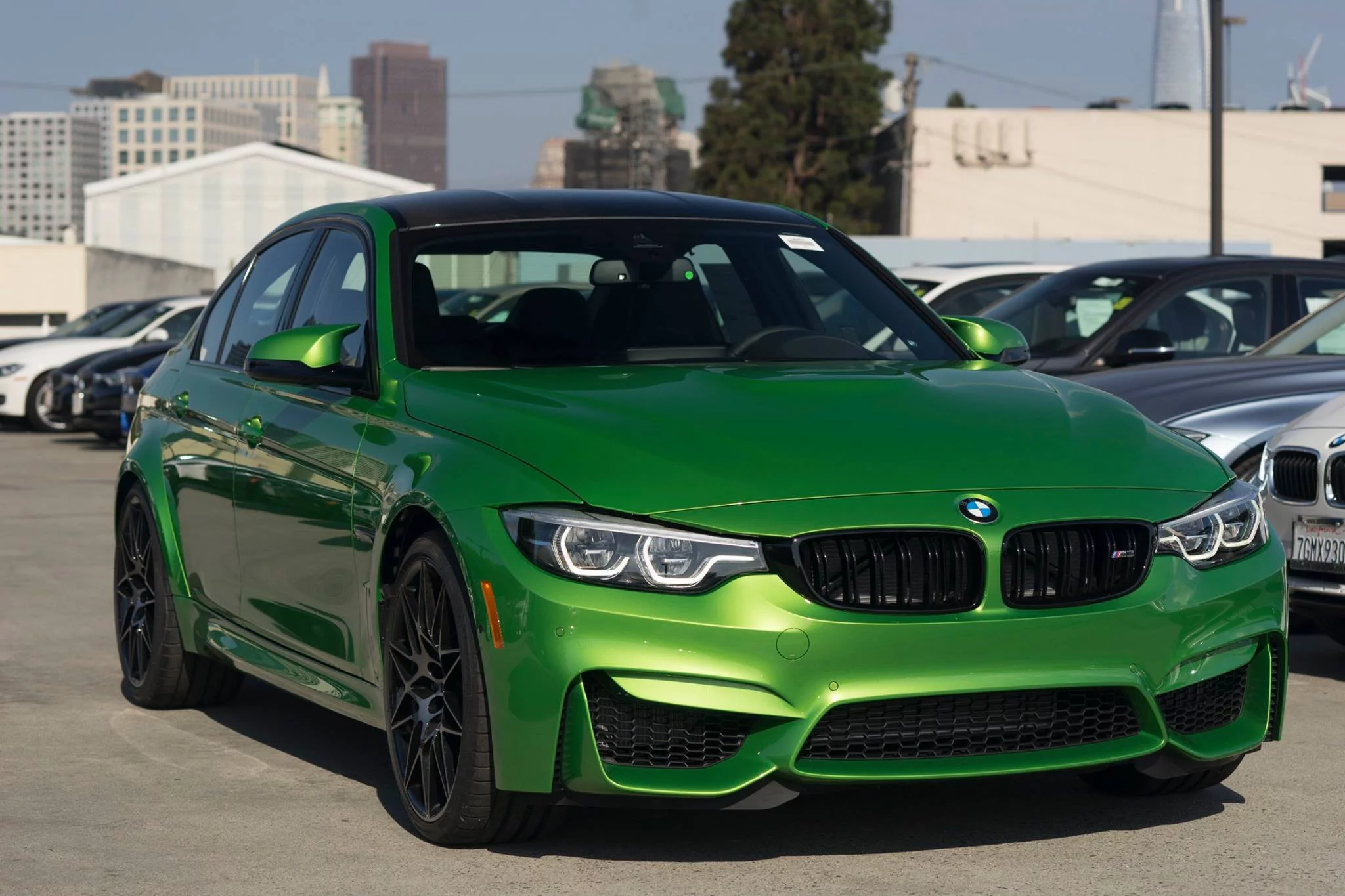 Java Green BMW M3