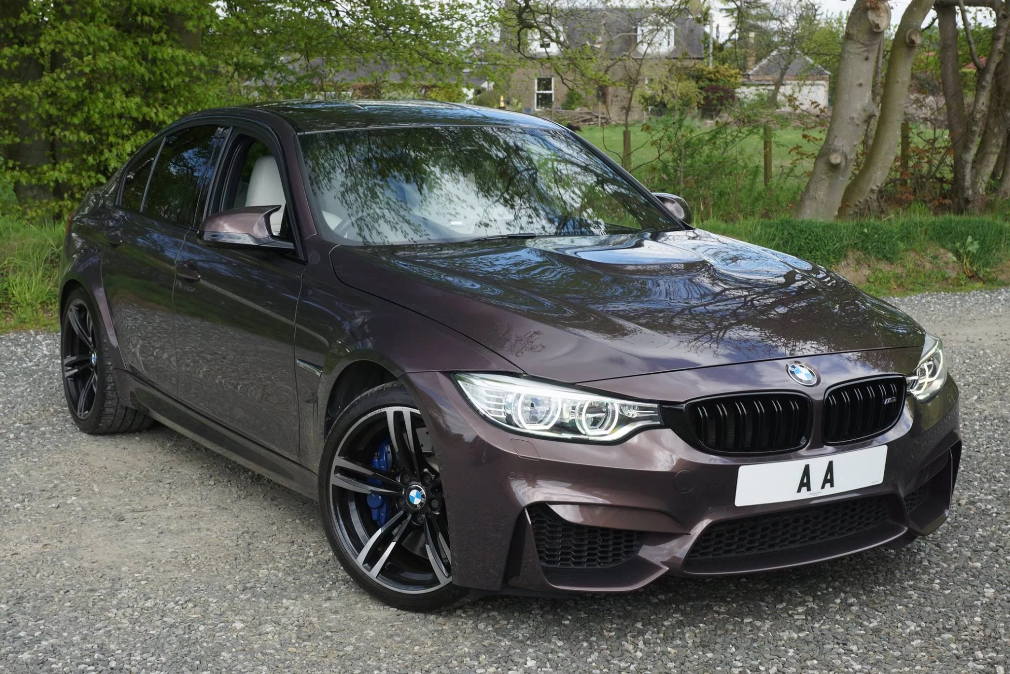 Smoked Topaz BMW M3