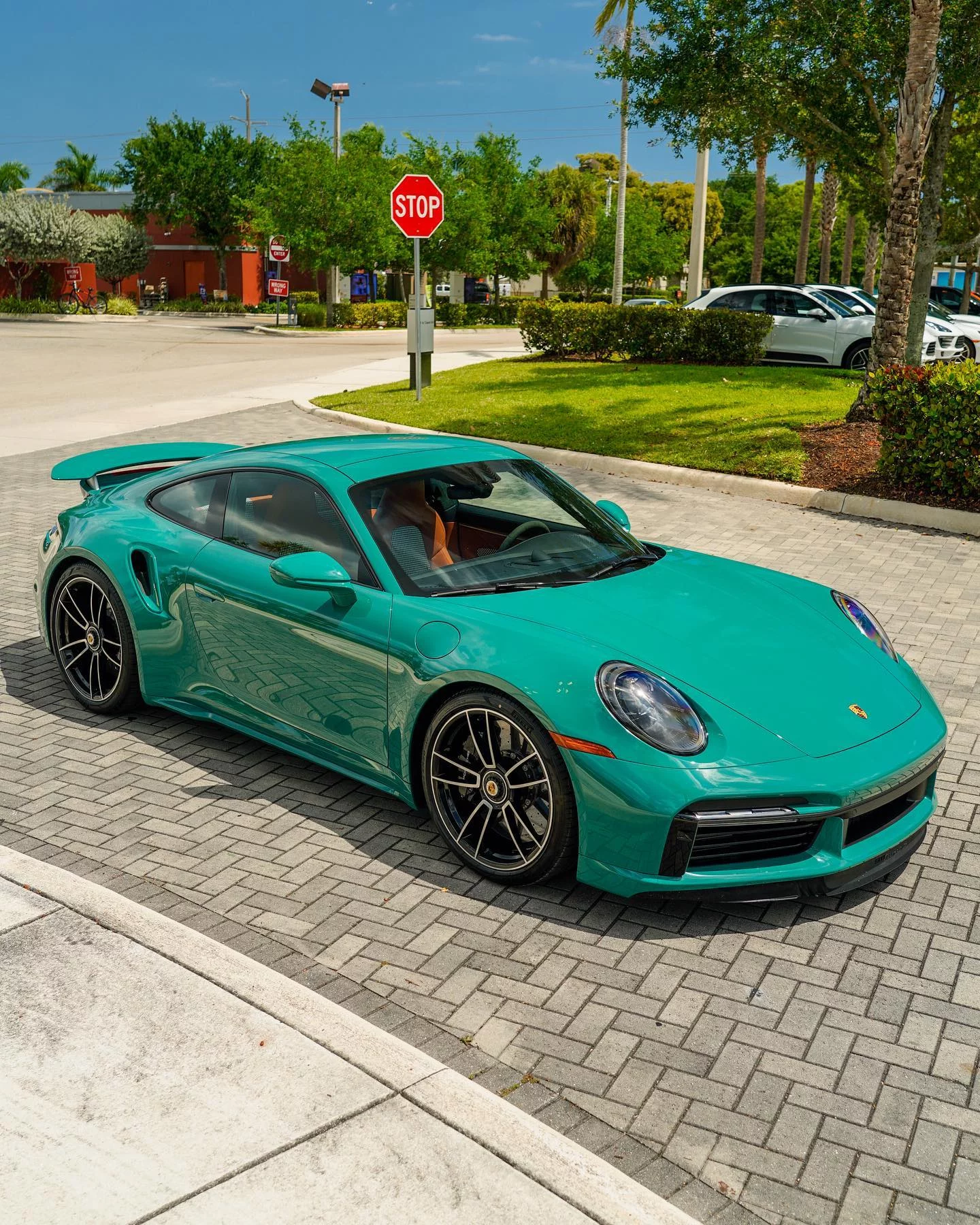 Smyrna Green Porsche 911 Turbo