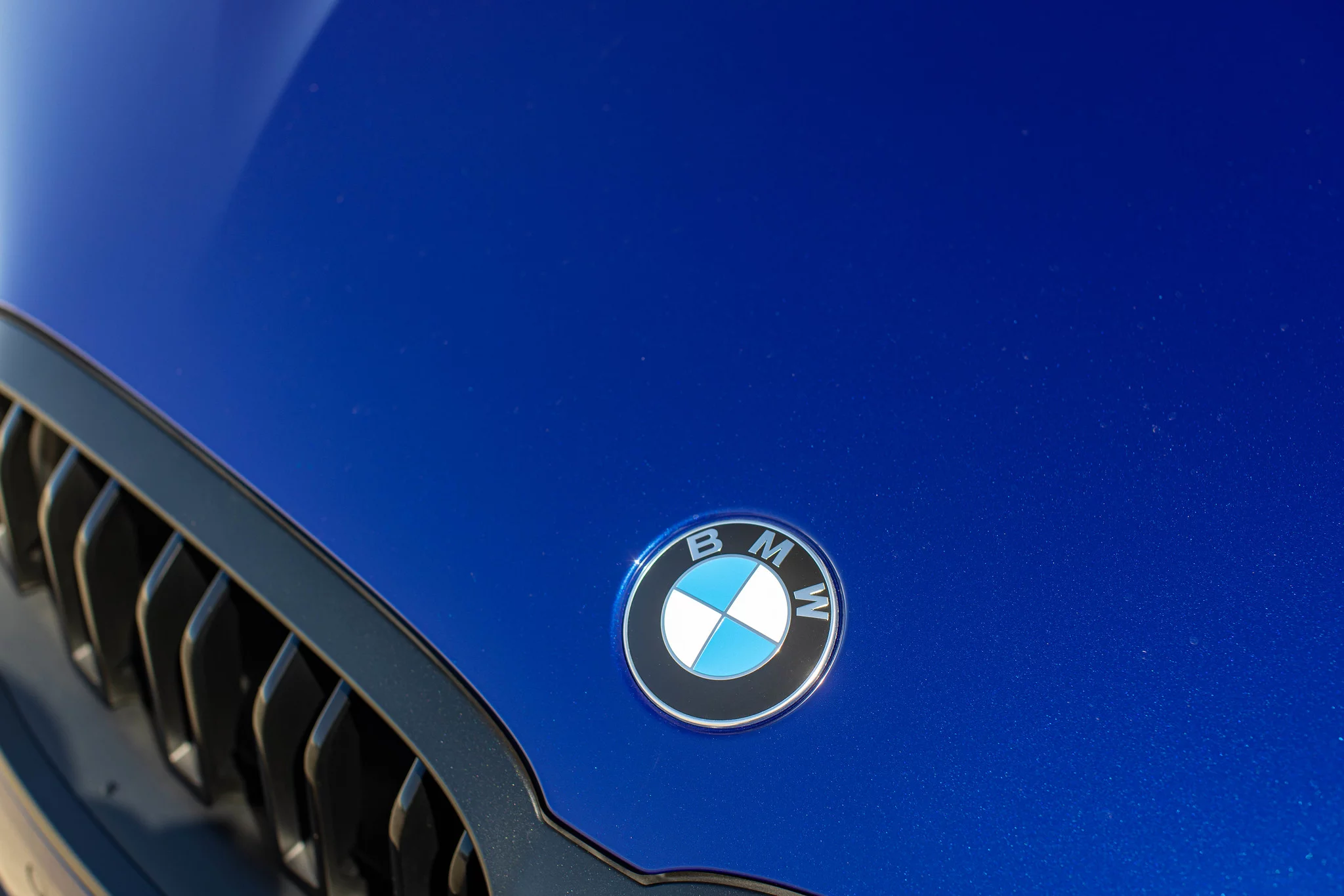 Interlagos Blue BMW 8 Series