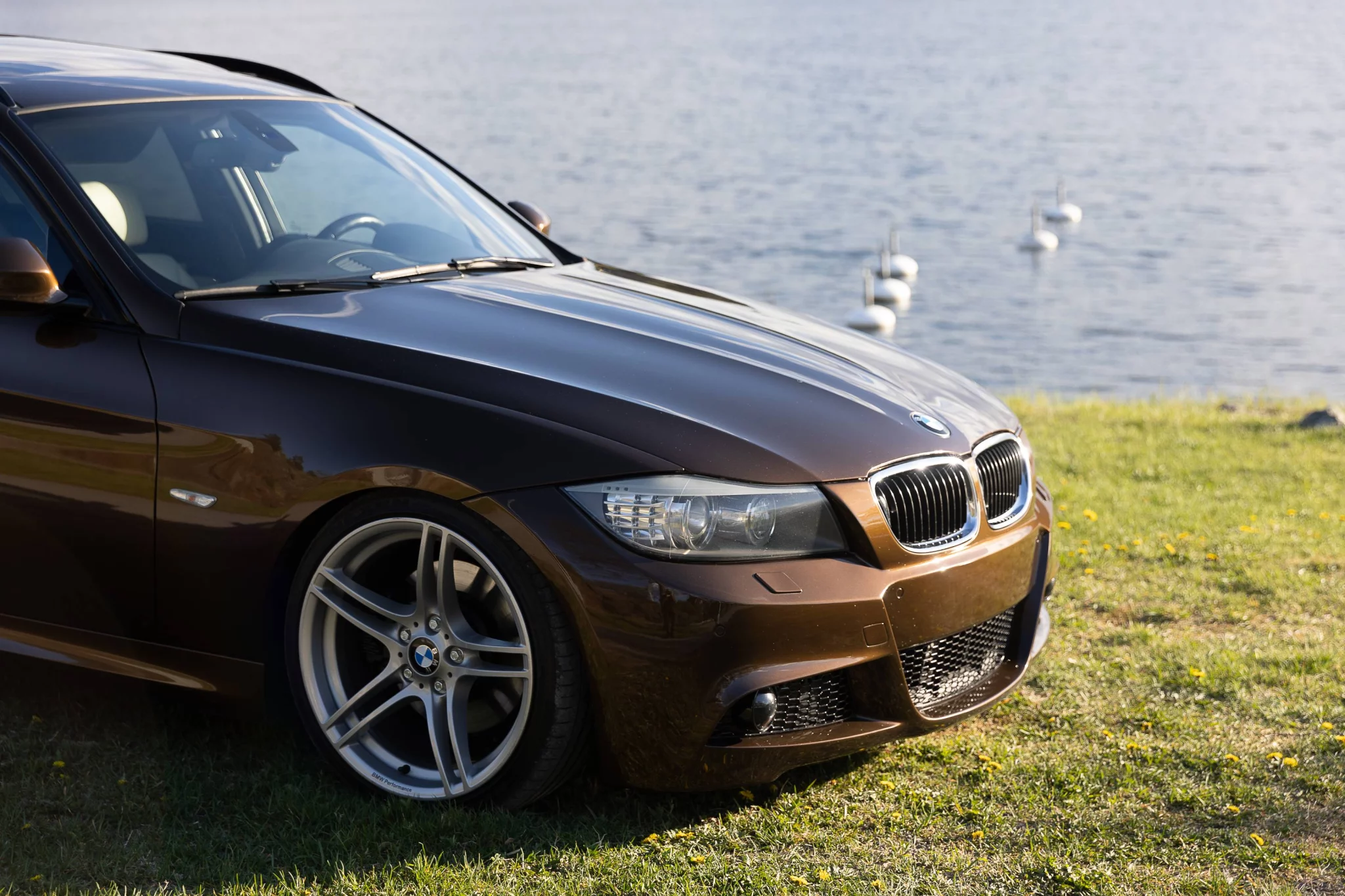 Marrakech Brown BMW 3 Series