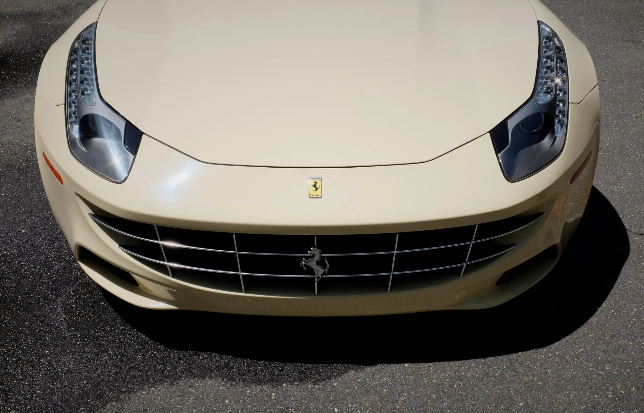 Avorio Ferrari FF
