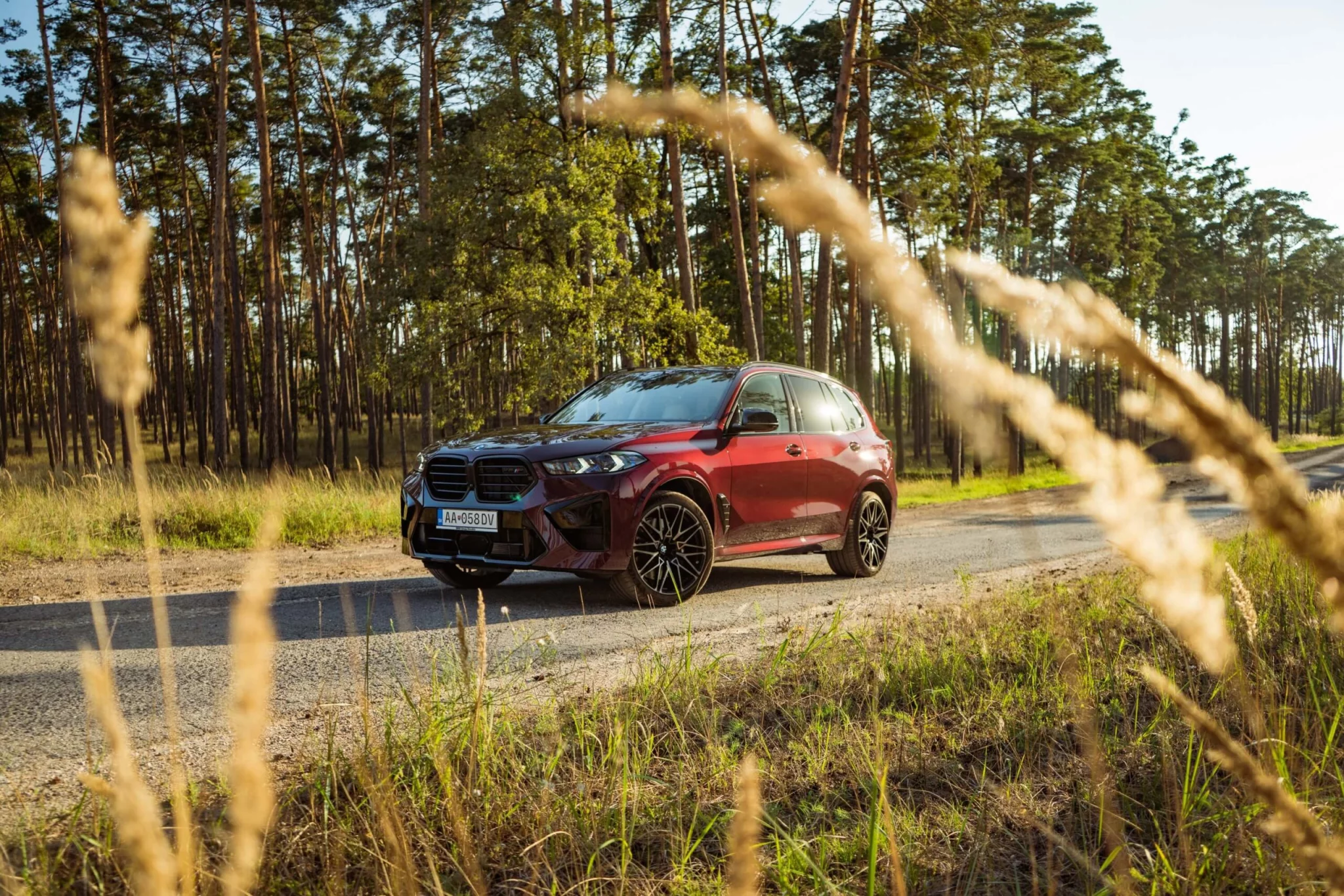 Wildberry BMW X5