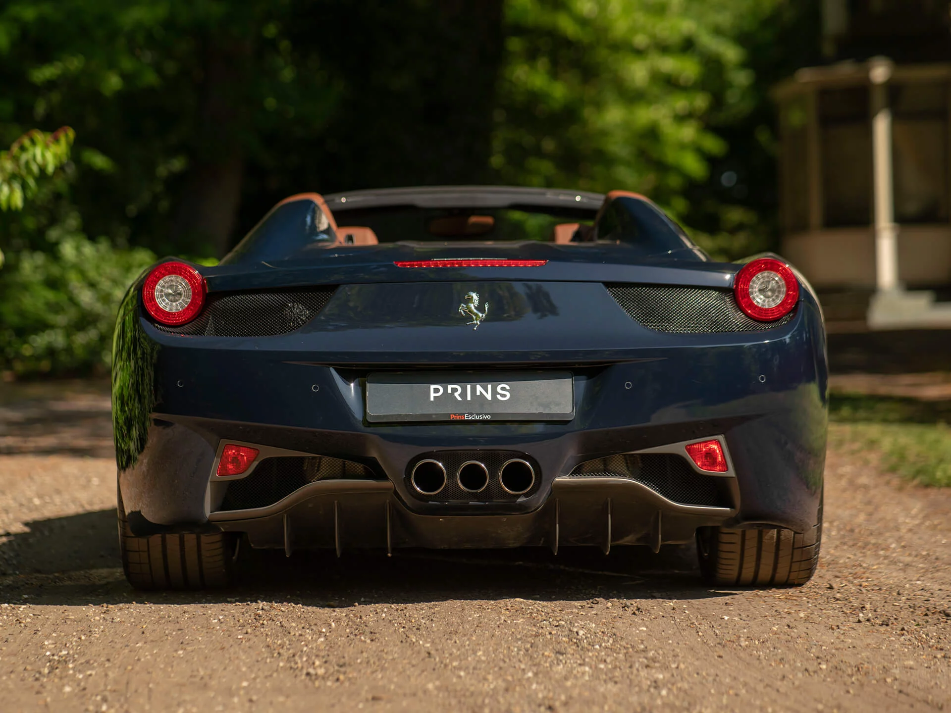 Blu Pozzi Ferrari 458