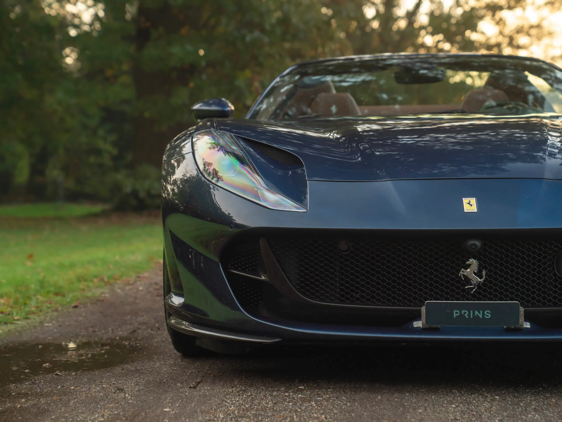 Blu Swaters Ferrari 812