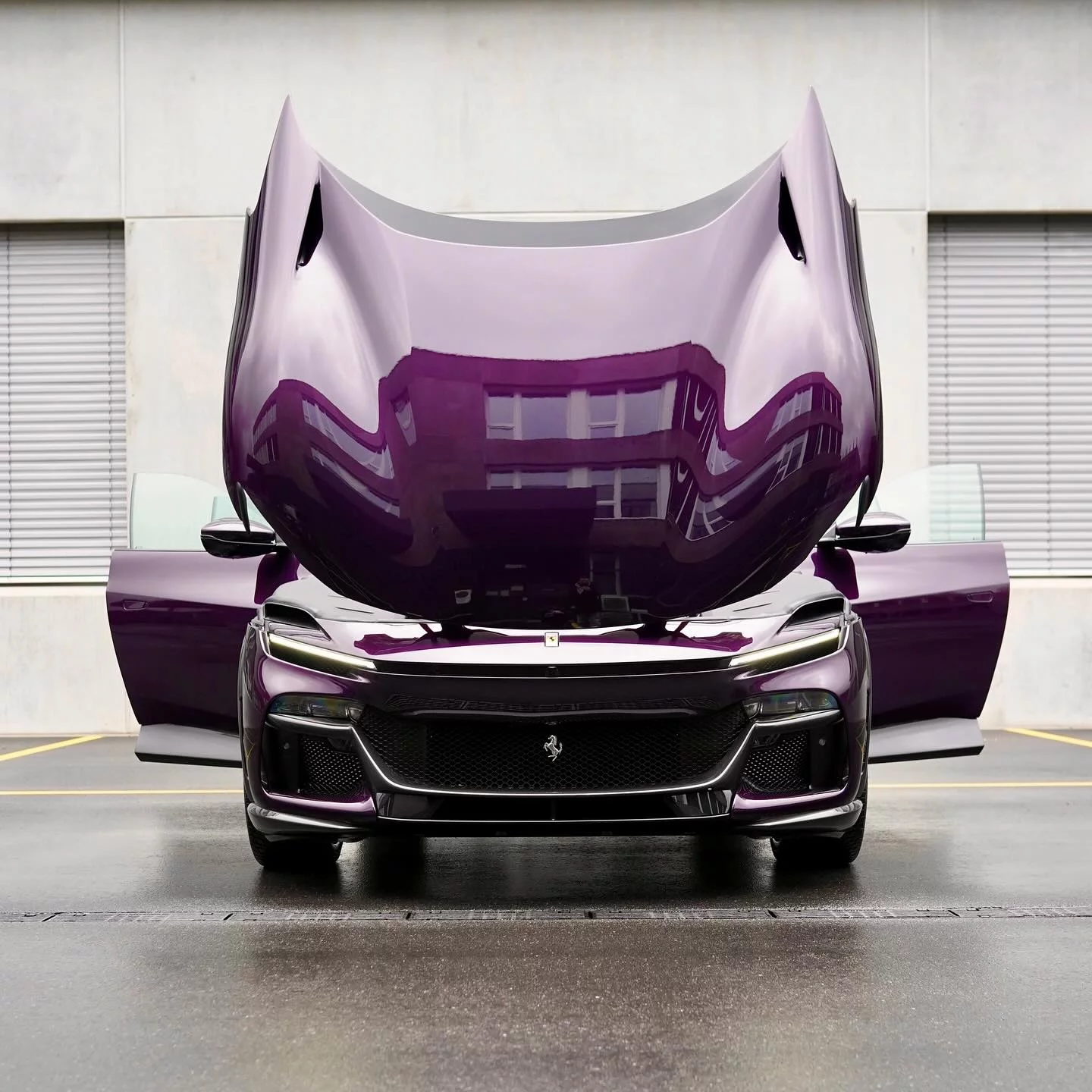Viola Hong Kong Ferrari Purosangue