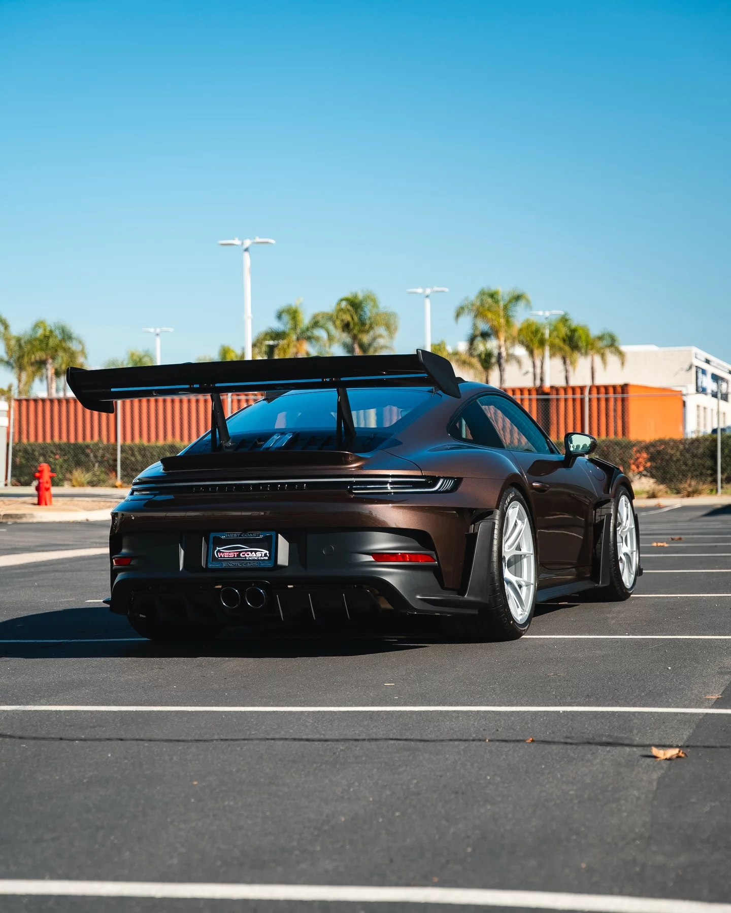 Macadamia Metallic Porsche 911 GT3 RS
