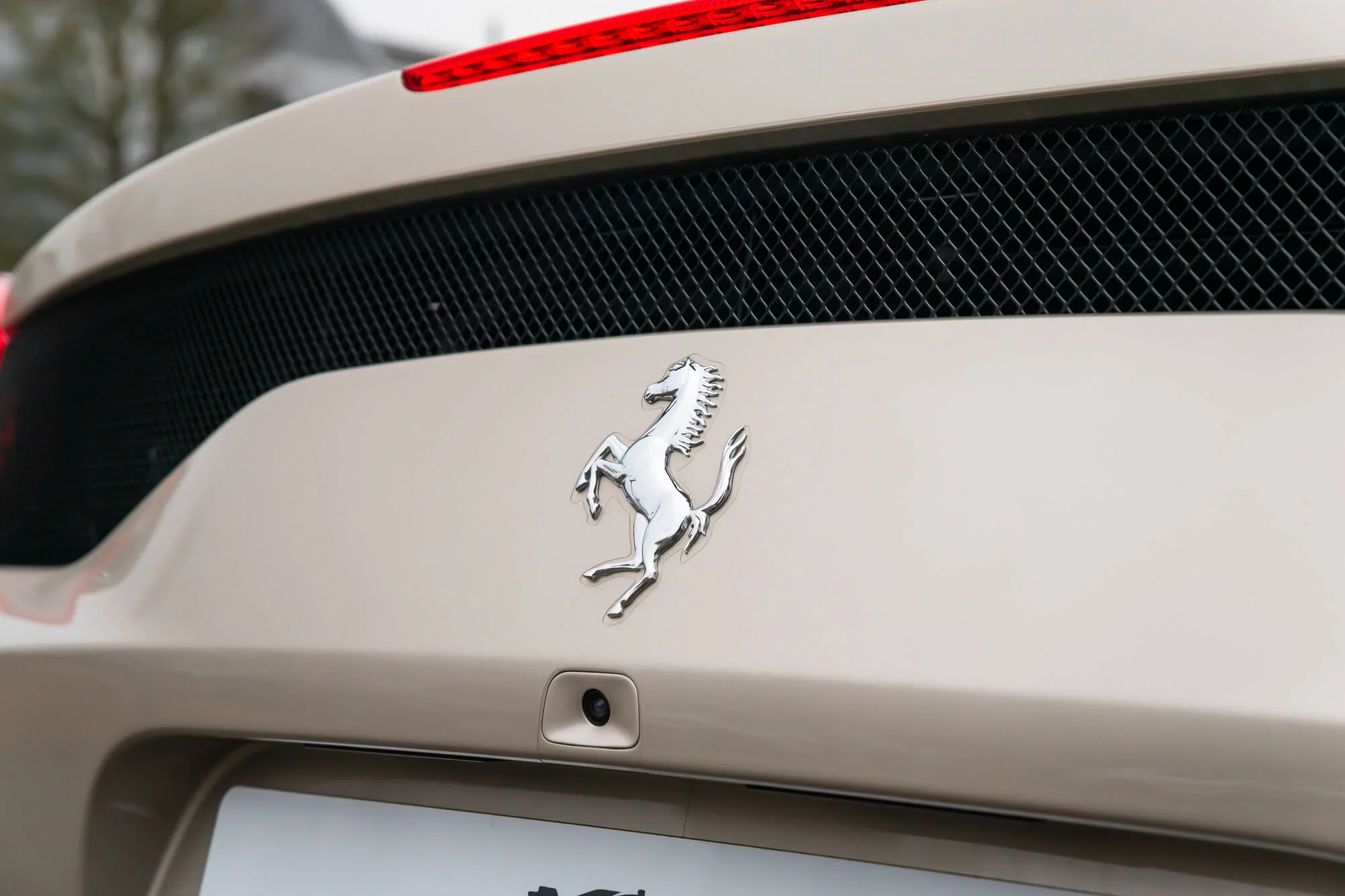 Grigio Ingrid Ferrari 458