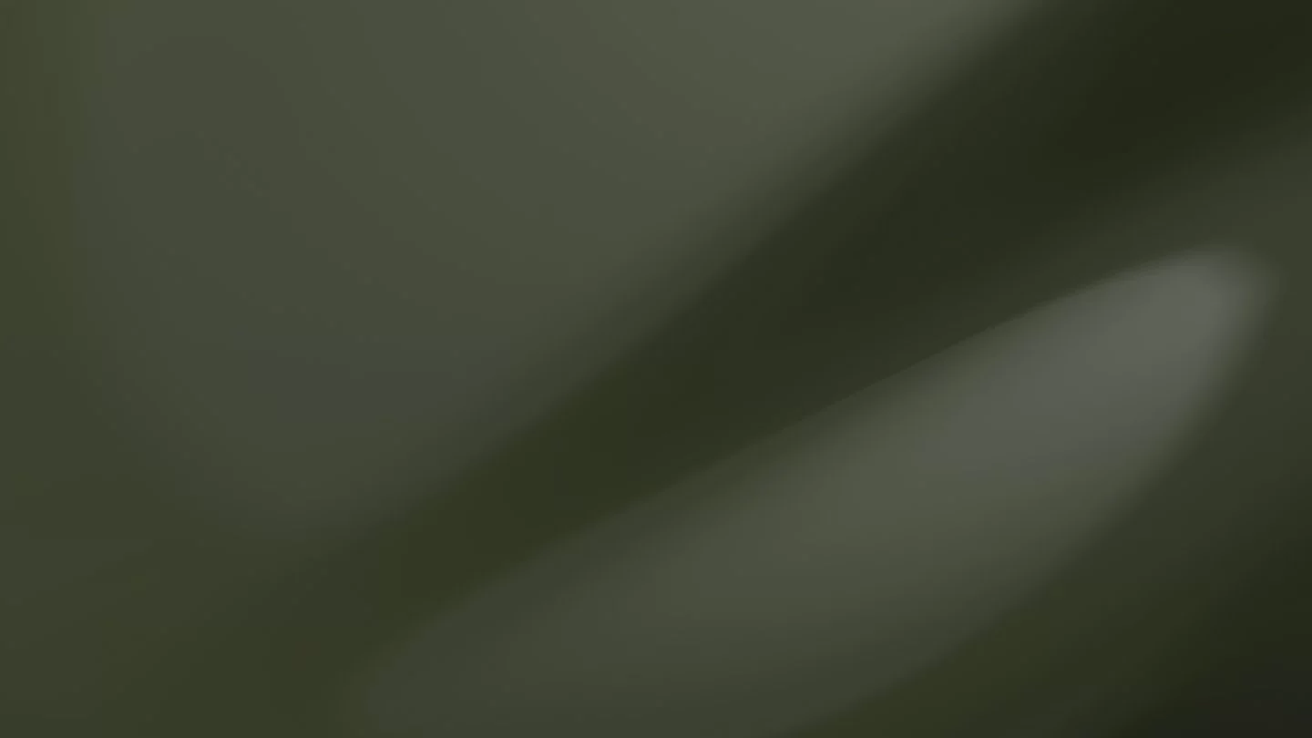 Nato Olive