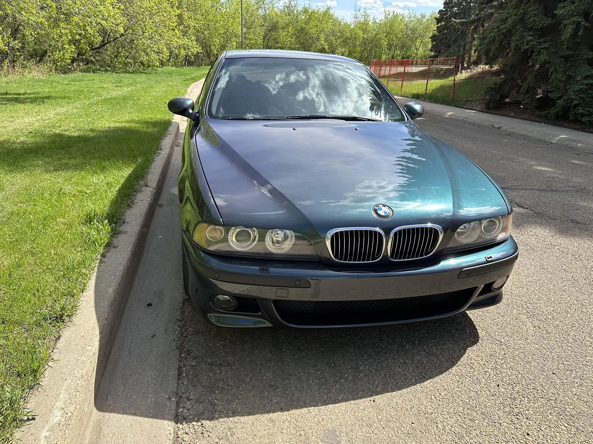 Scarab Green BMW M5