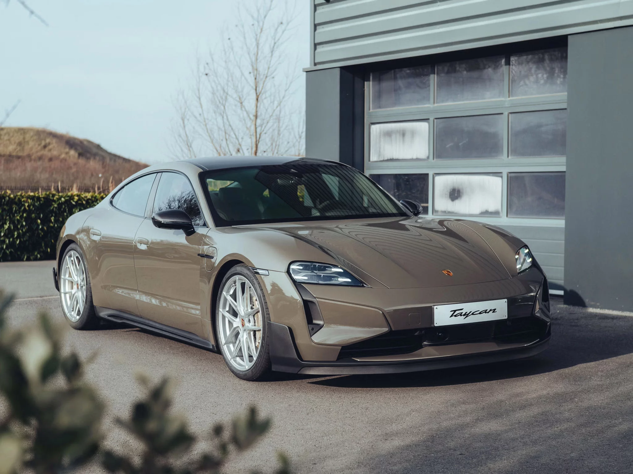 Alex Grey Porsche Taycan