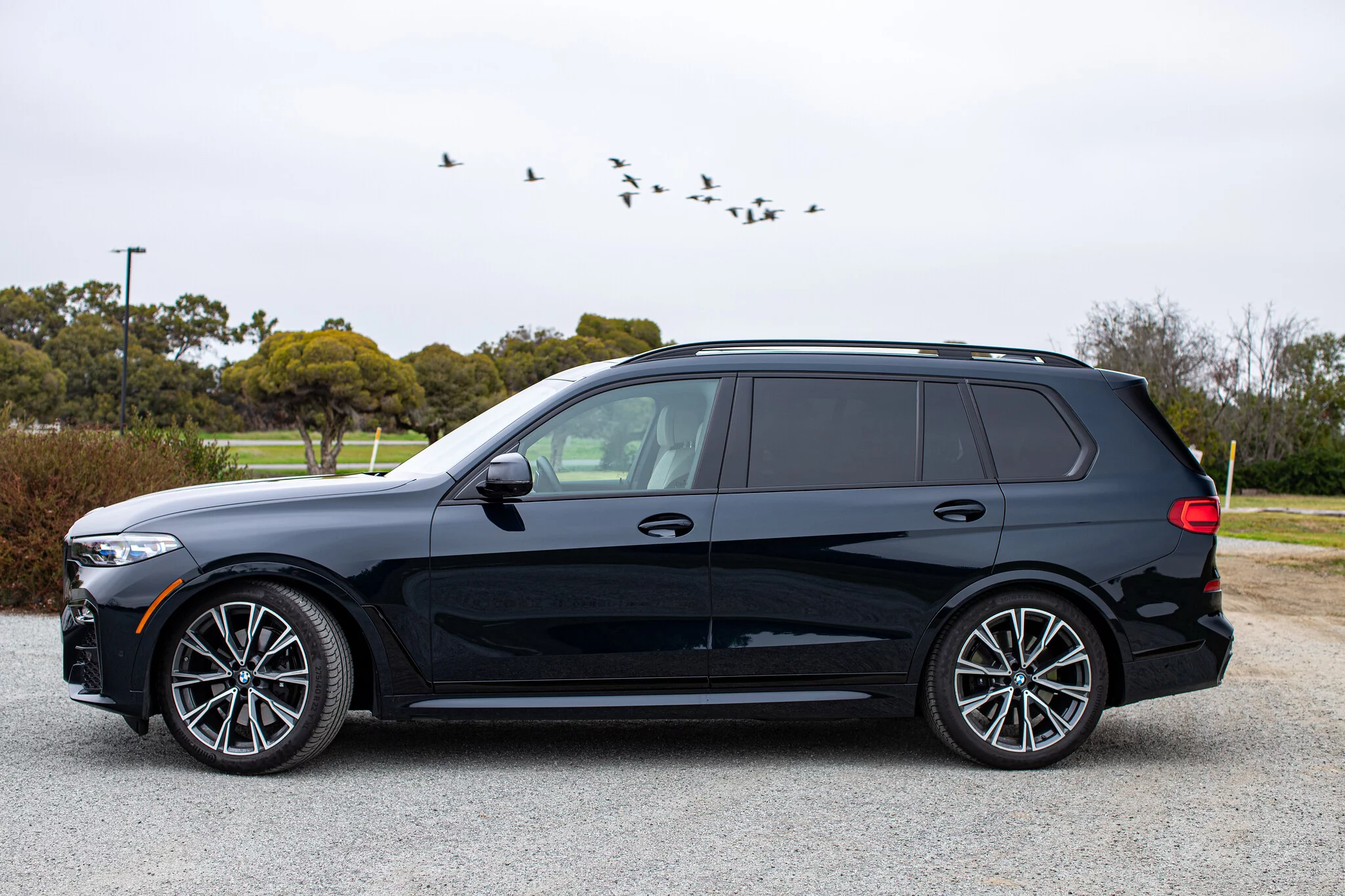 Petrol Mica BMW X7