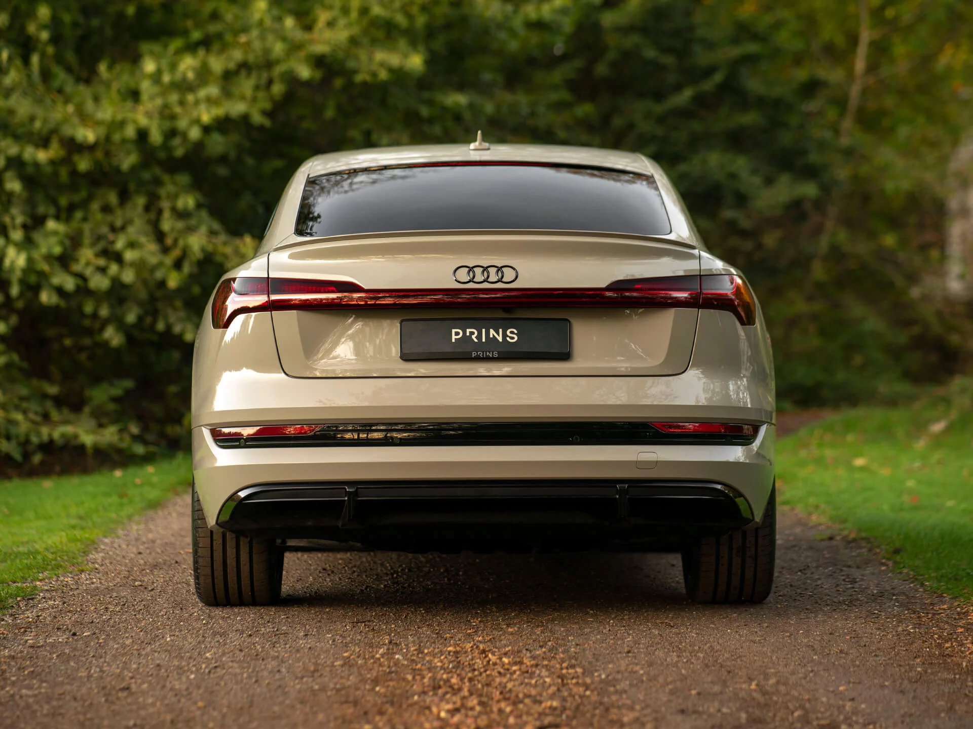 Siam Beige Audi e-tron