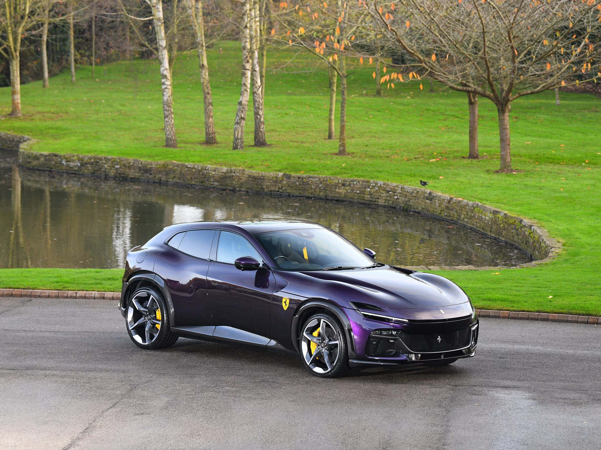 Viola Hong Kong Ferrari Purosangue