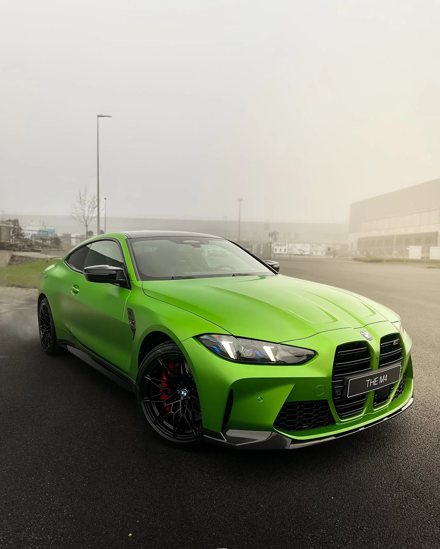 Frozen Tampa Bay Green BMW M4