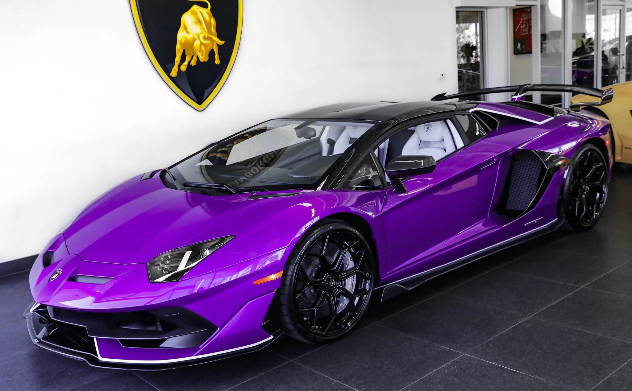 Viola Pasifae Lamborghini Aventador