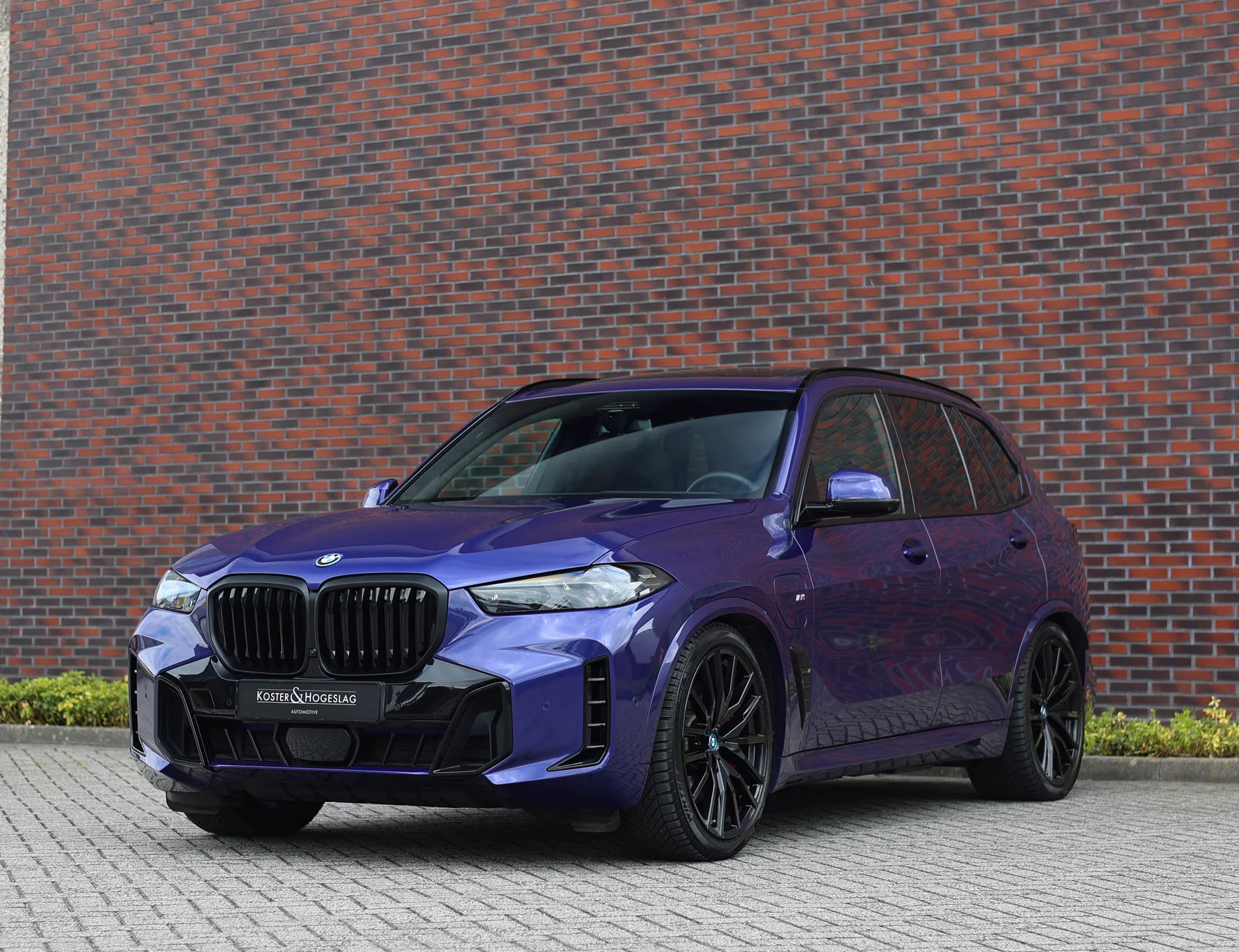 Velvet Blue BMW X5