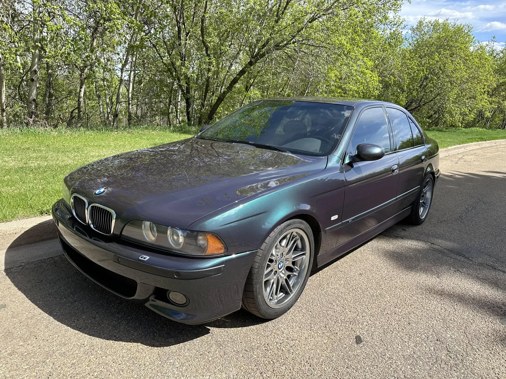 Scarab Green BMW M5
