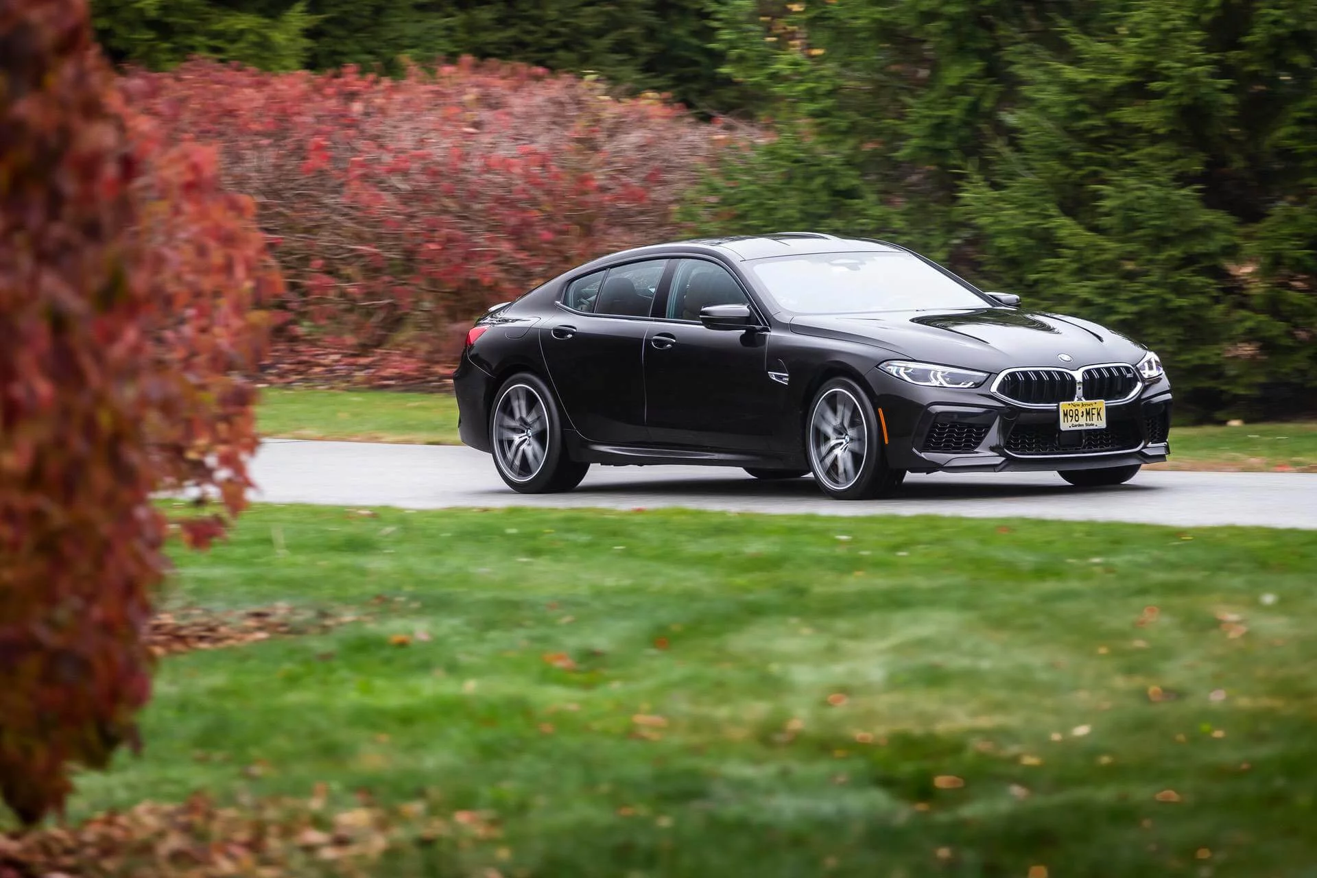 Almandine Brown II BMW M8