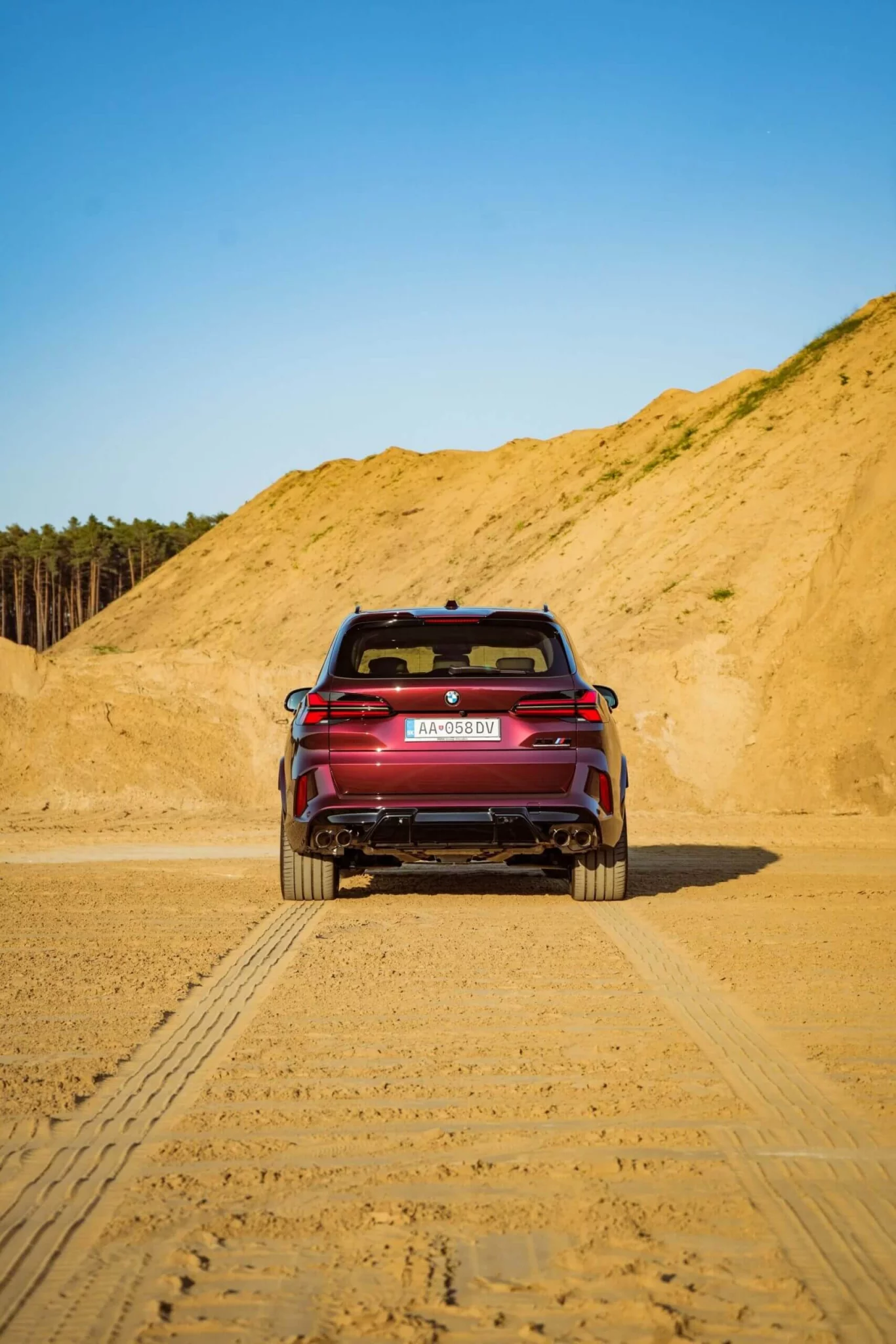 Wildberry BMW X5