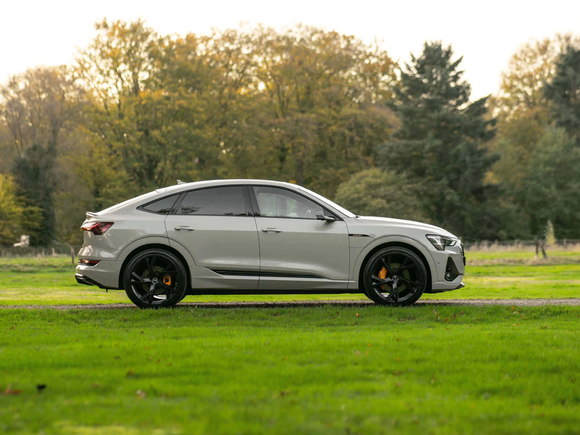 Siam Beige Audi e-tron