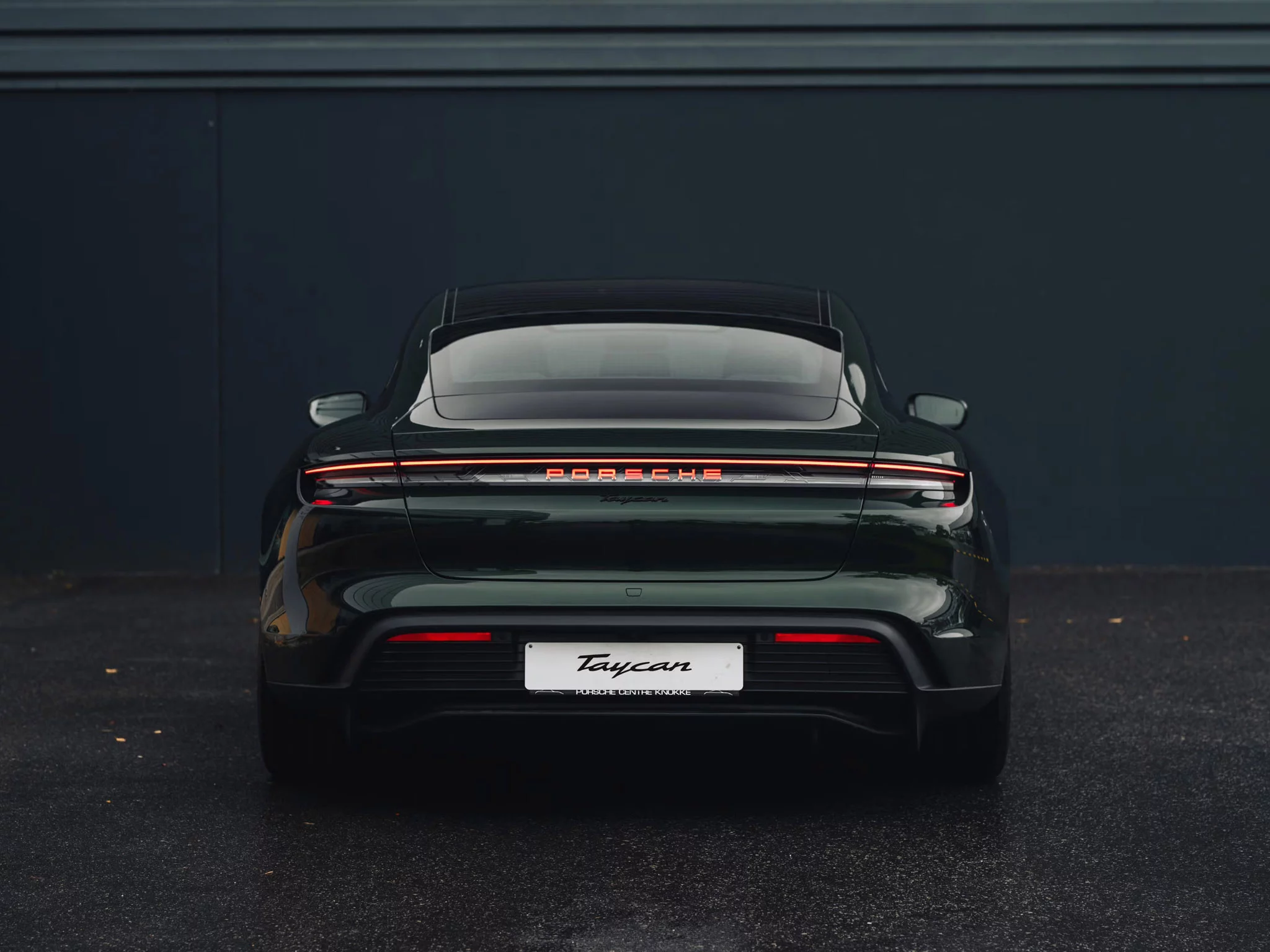 Oak Green Metallic Neo Porsche Taycan