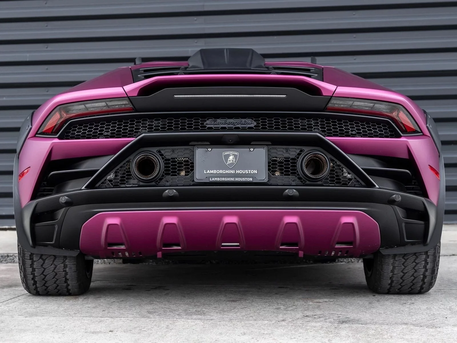 Viola Rubus Lamborghini Huracán