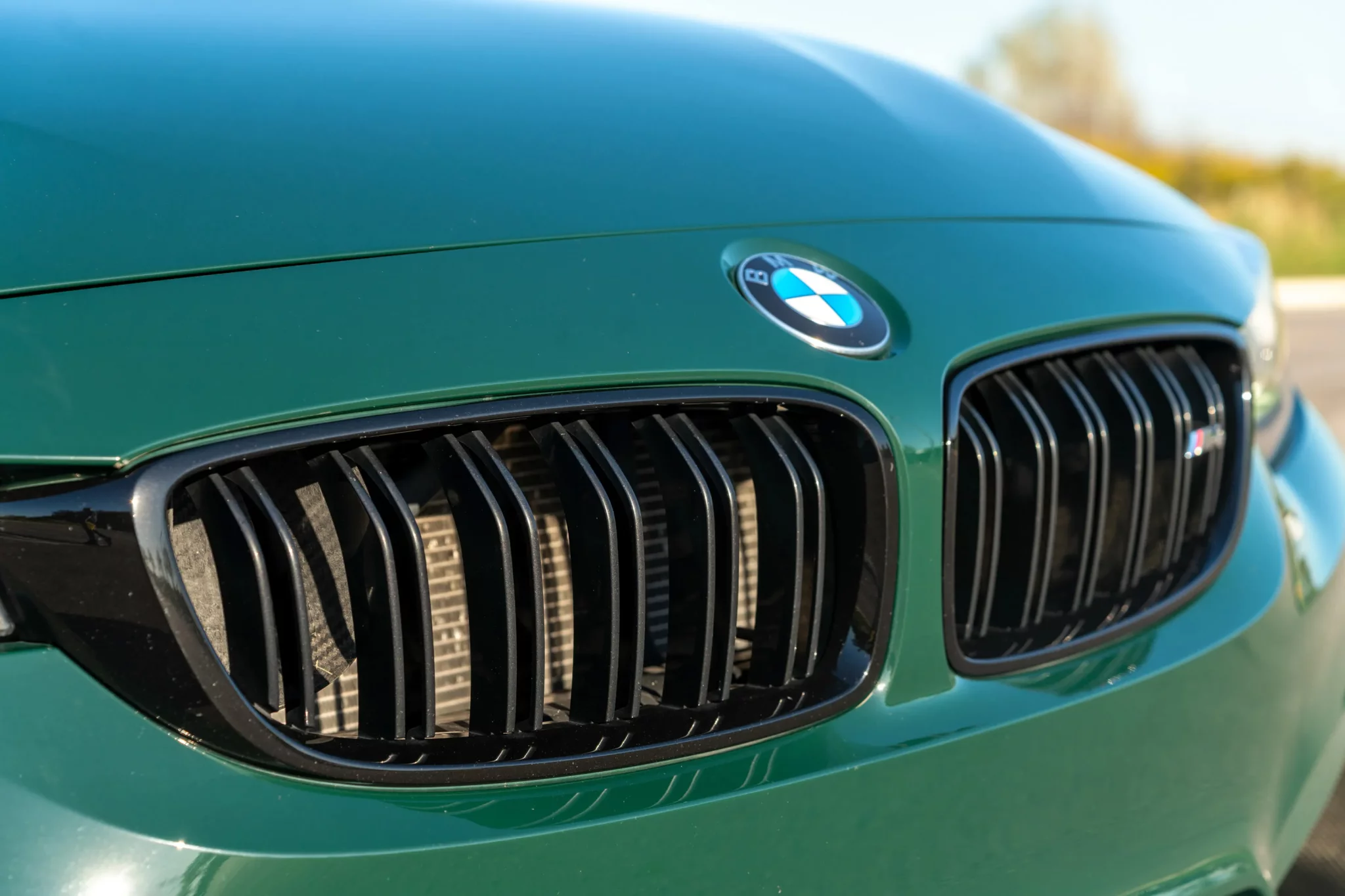 British Racing Green BMW M4