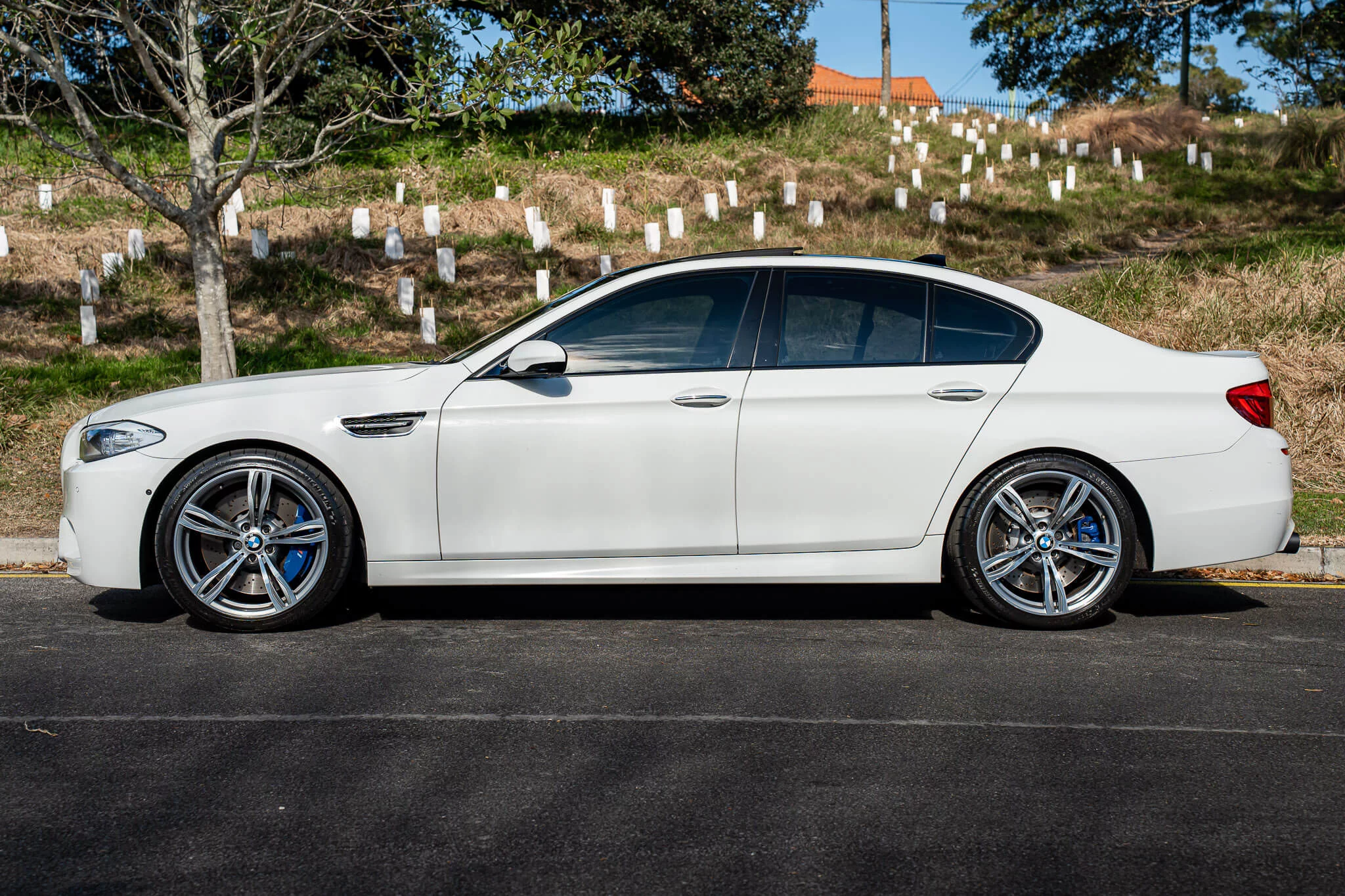 Alpine White III BMW M5