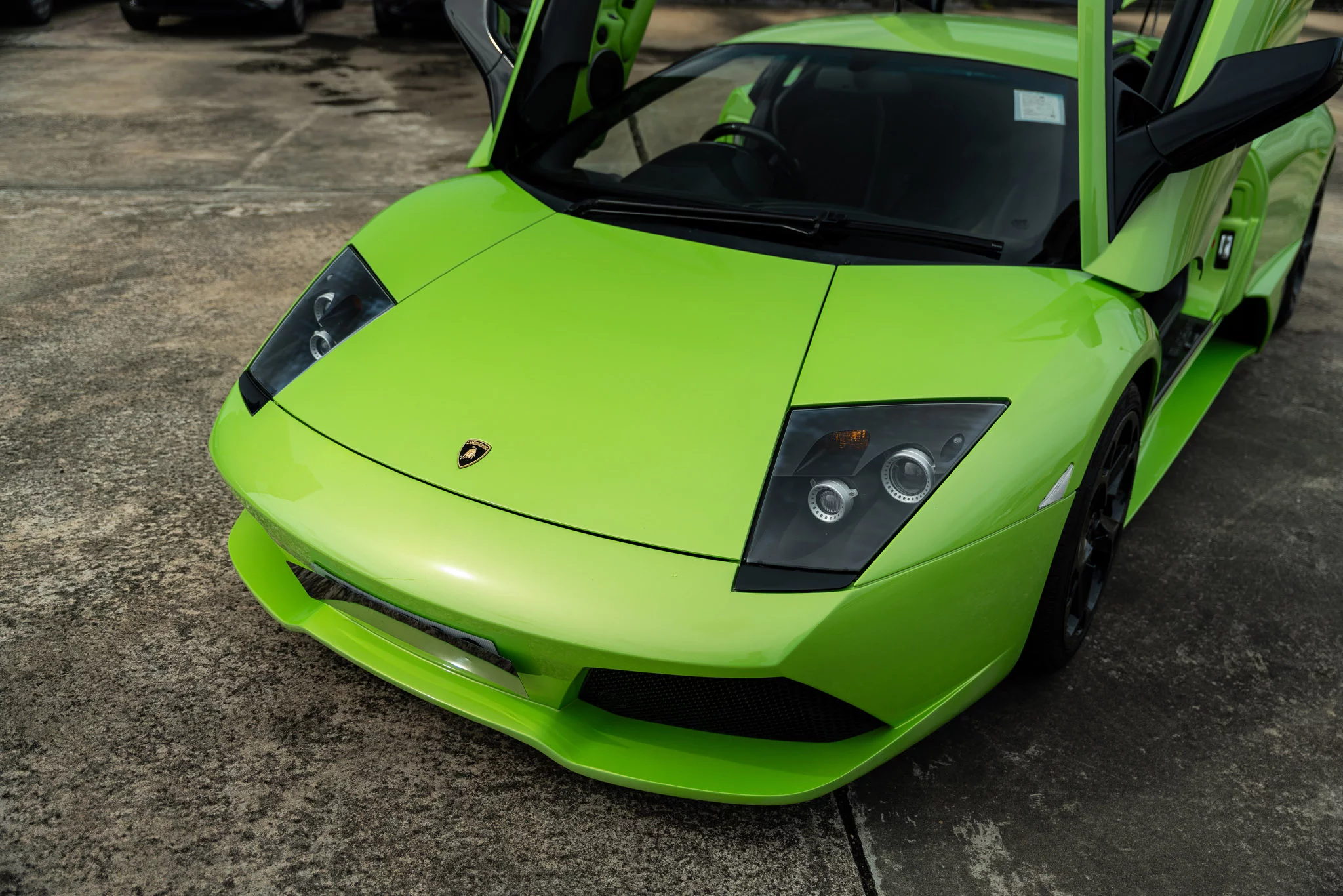 Verde Ithaca Lamborghini Murciélago
