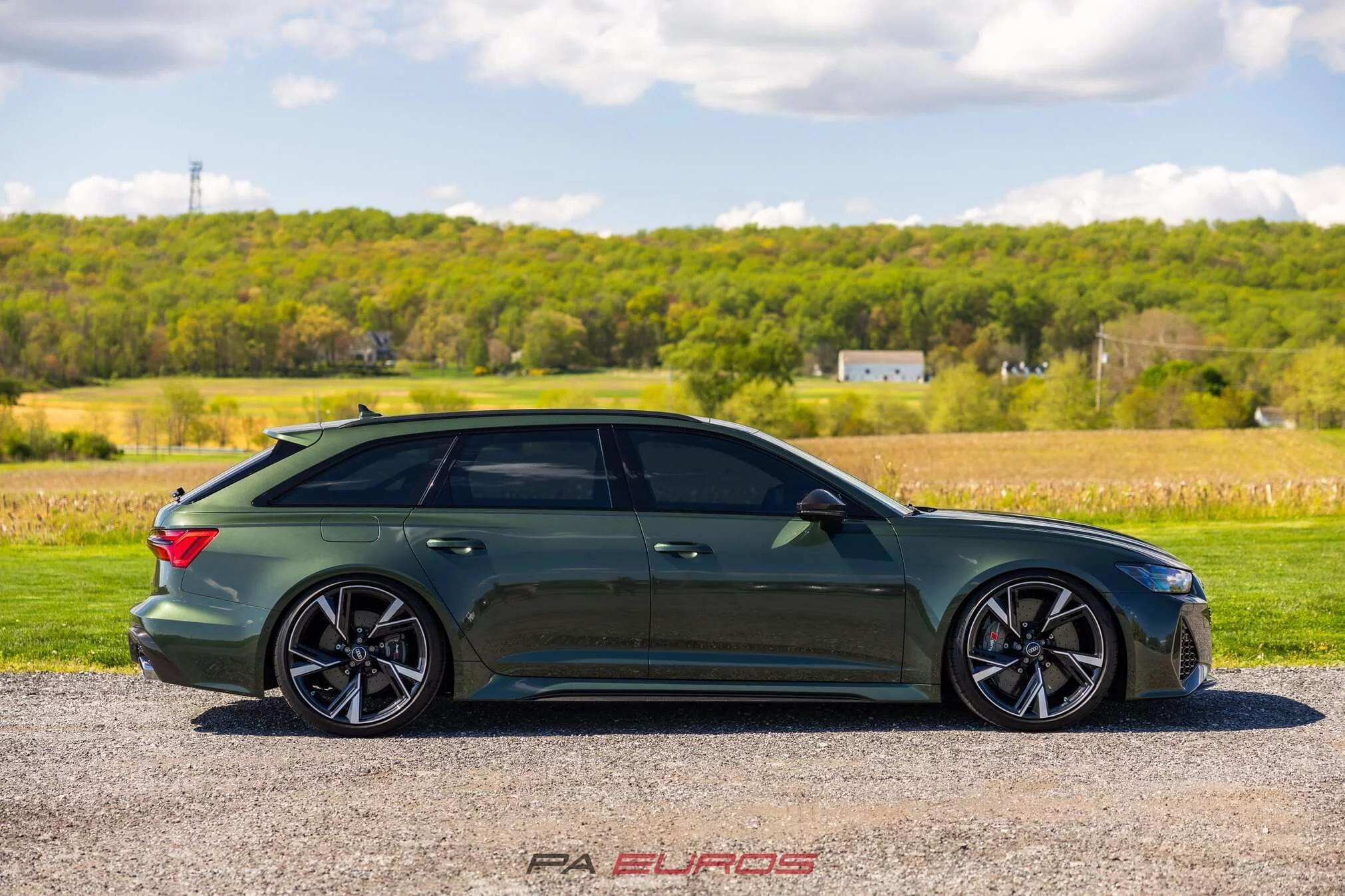 Oak Green Metallic Audi RS6 Avant